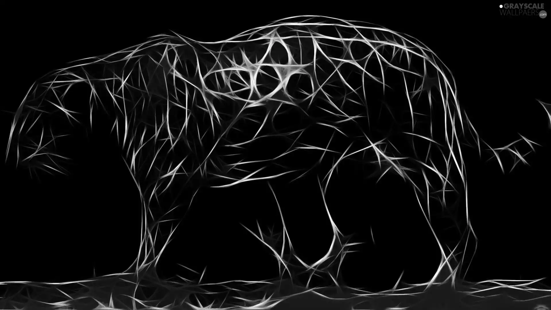 Computer, tiger, graphics