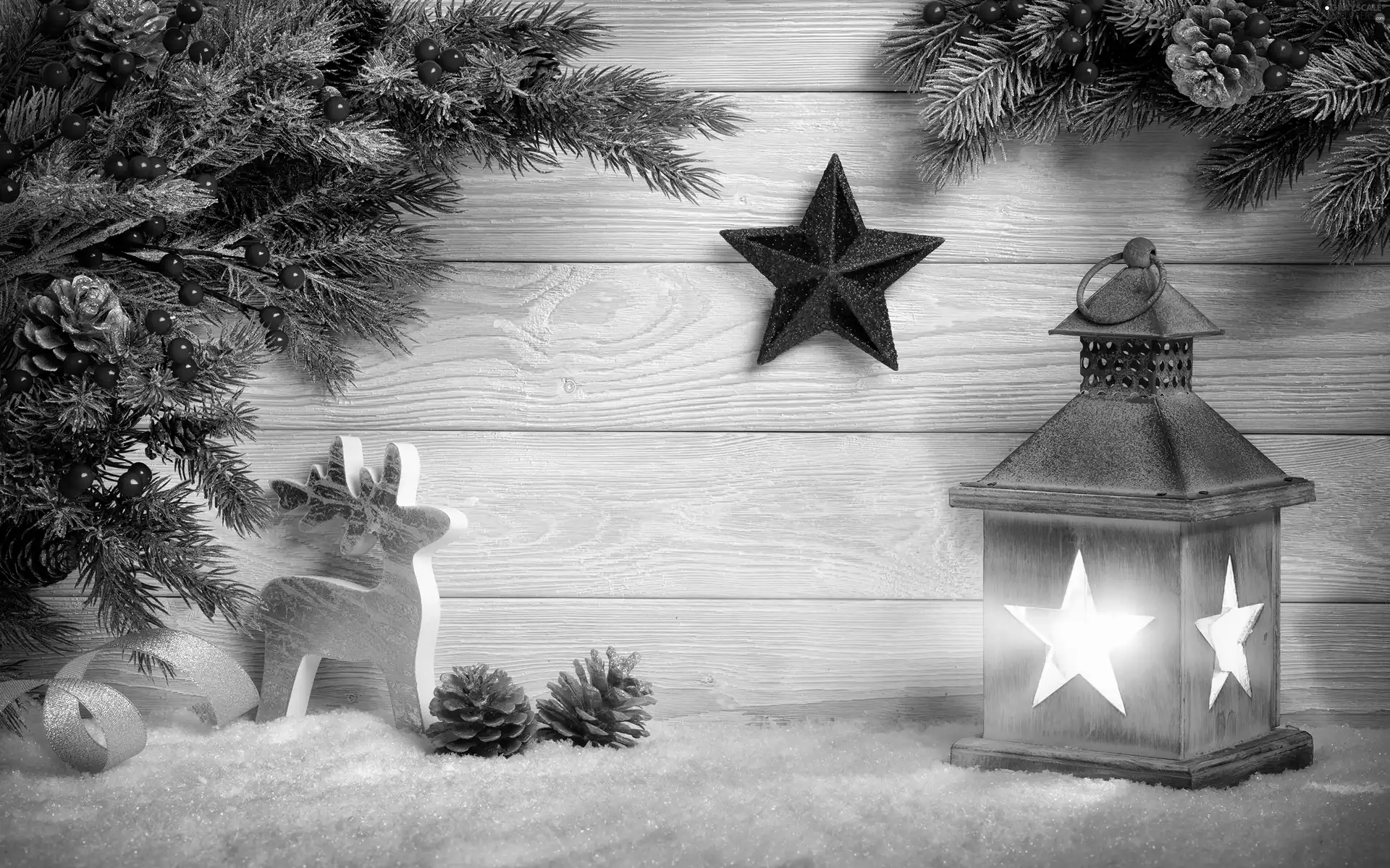 reindeer, Christmas, Twigs, lantern, composition, Stars, cones