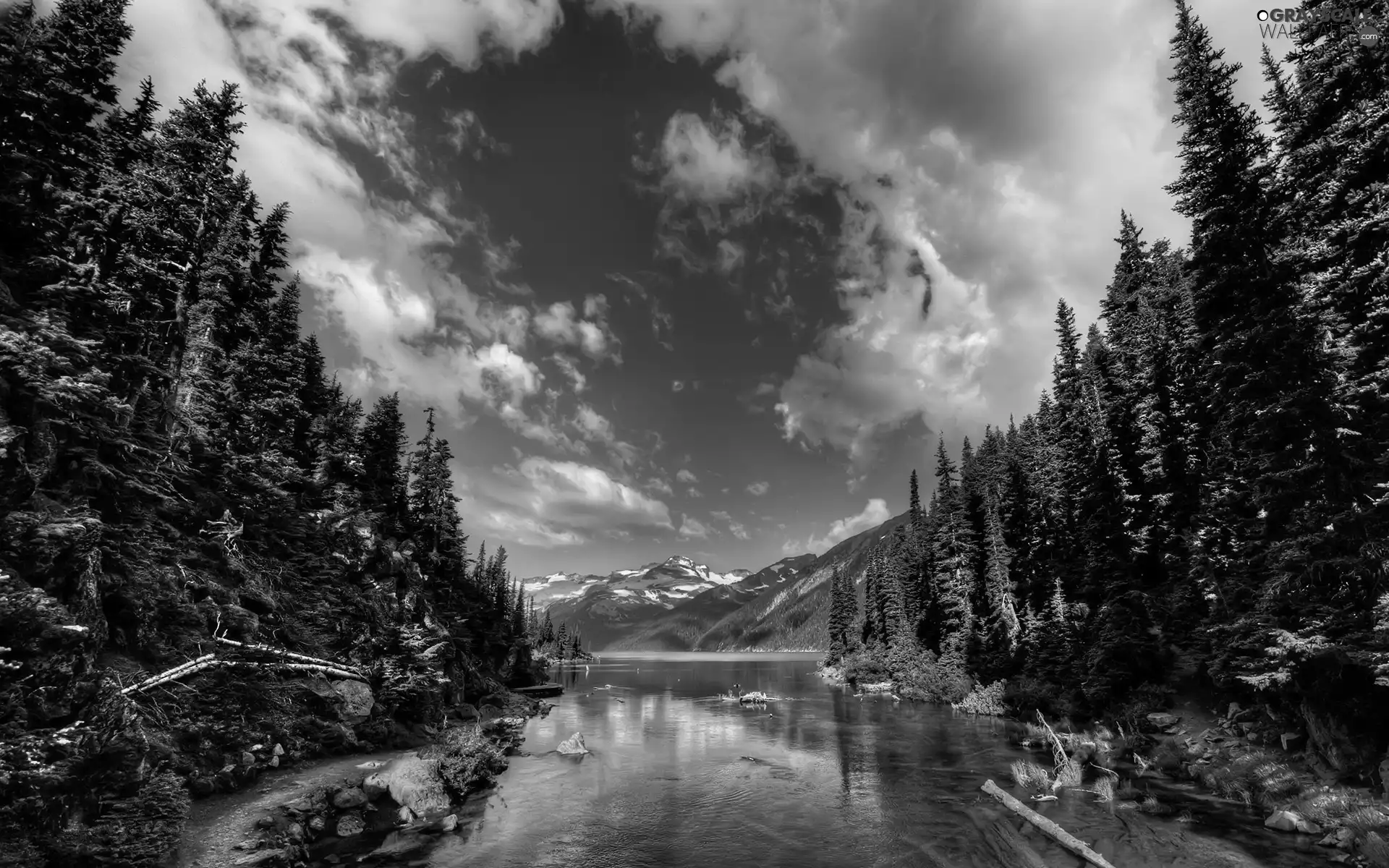 coniferous, Yellowstone National Park, trees, Sky, viewes, The United States, River, clouds, Mountains, forest