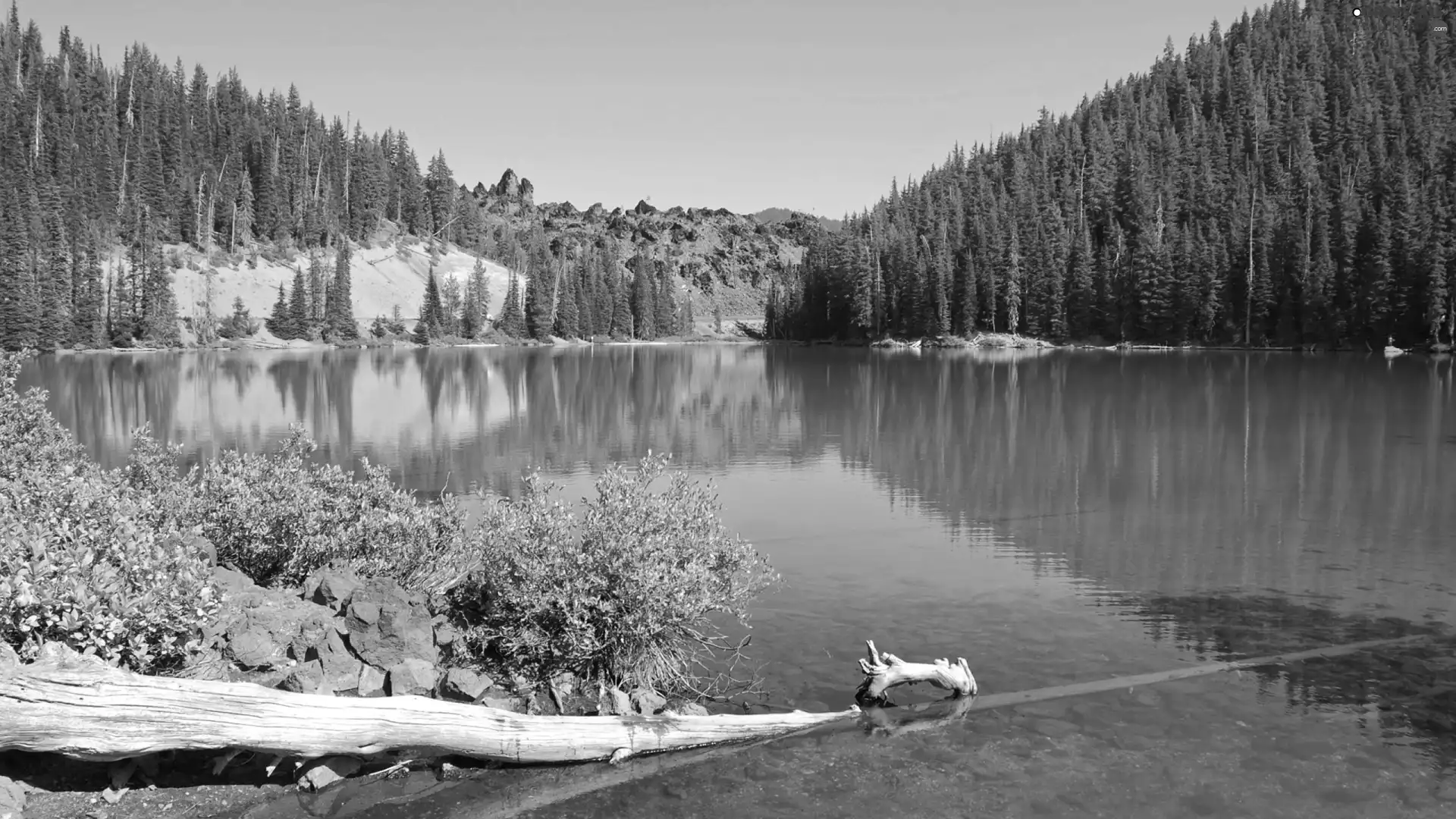 Mountains, forest, coniferous, lake