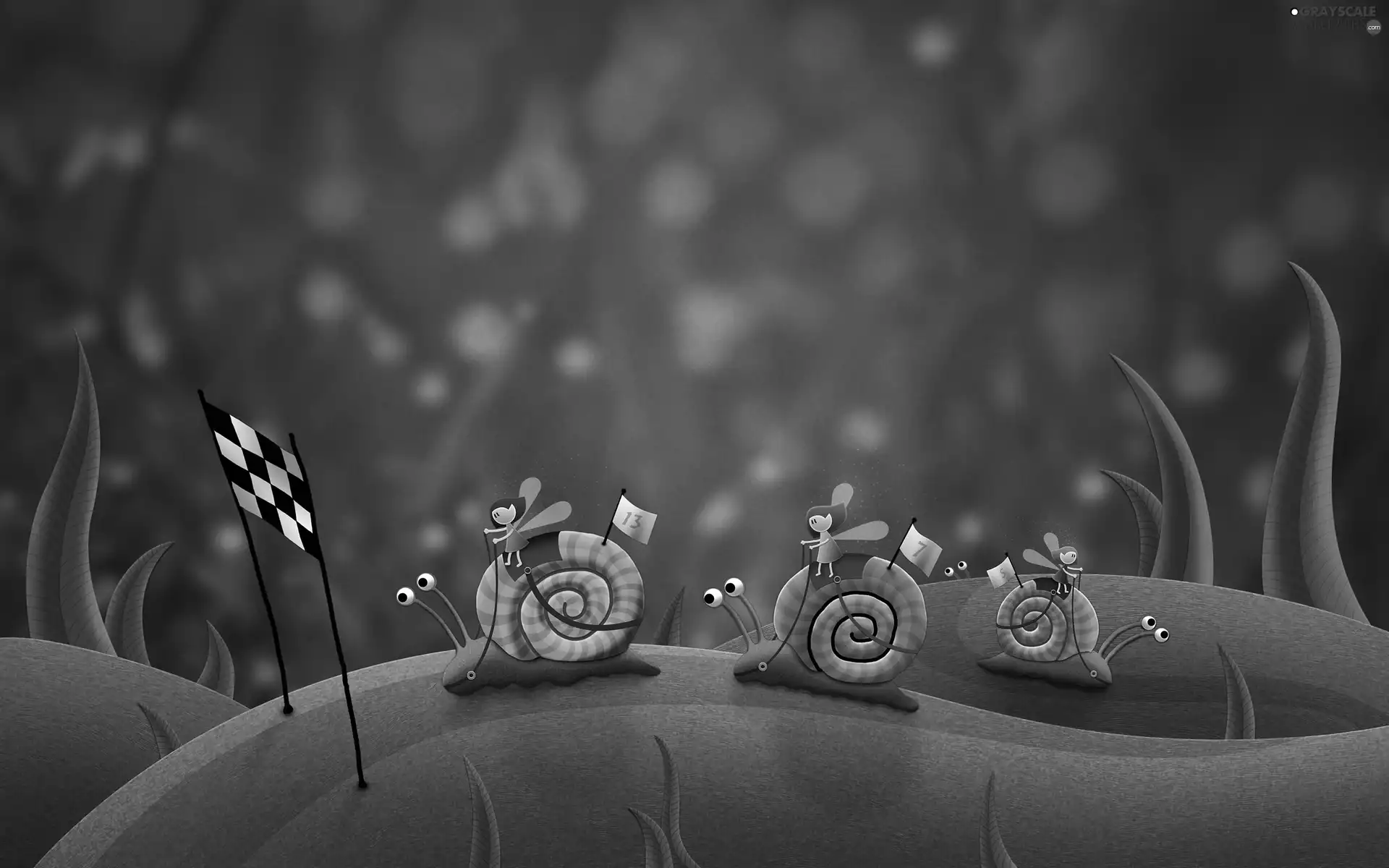 Snails, contest