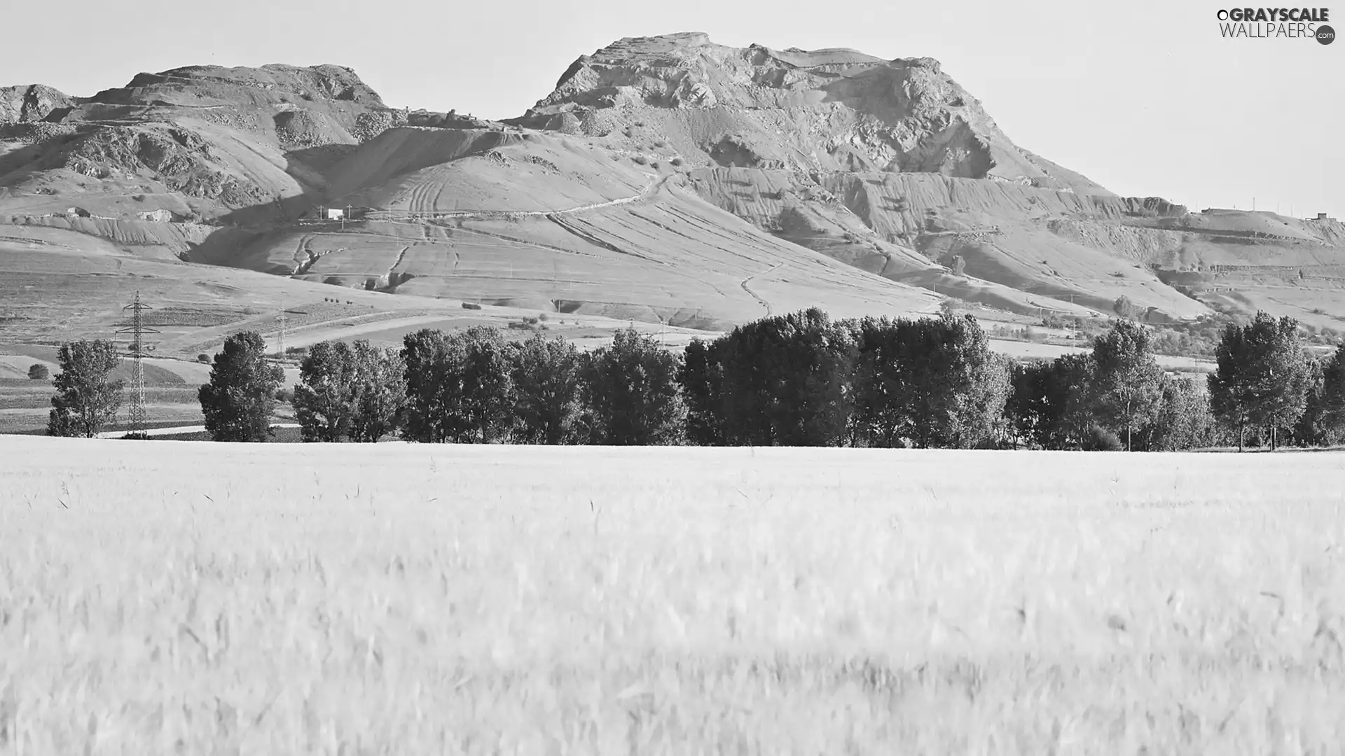 Mountains, viewes, corn, trees