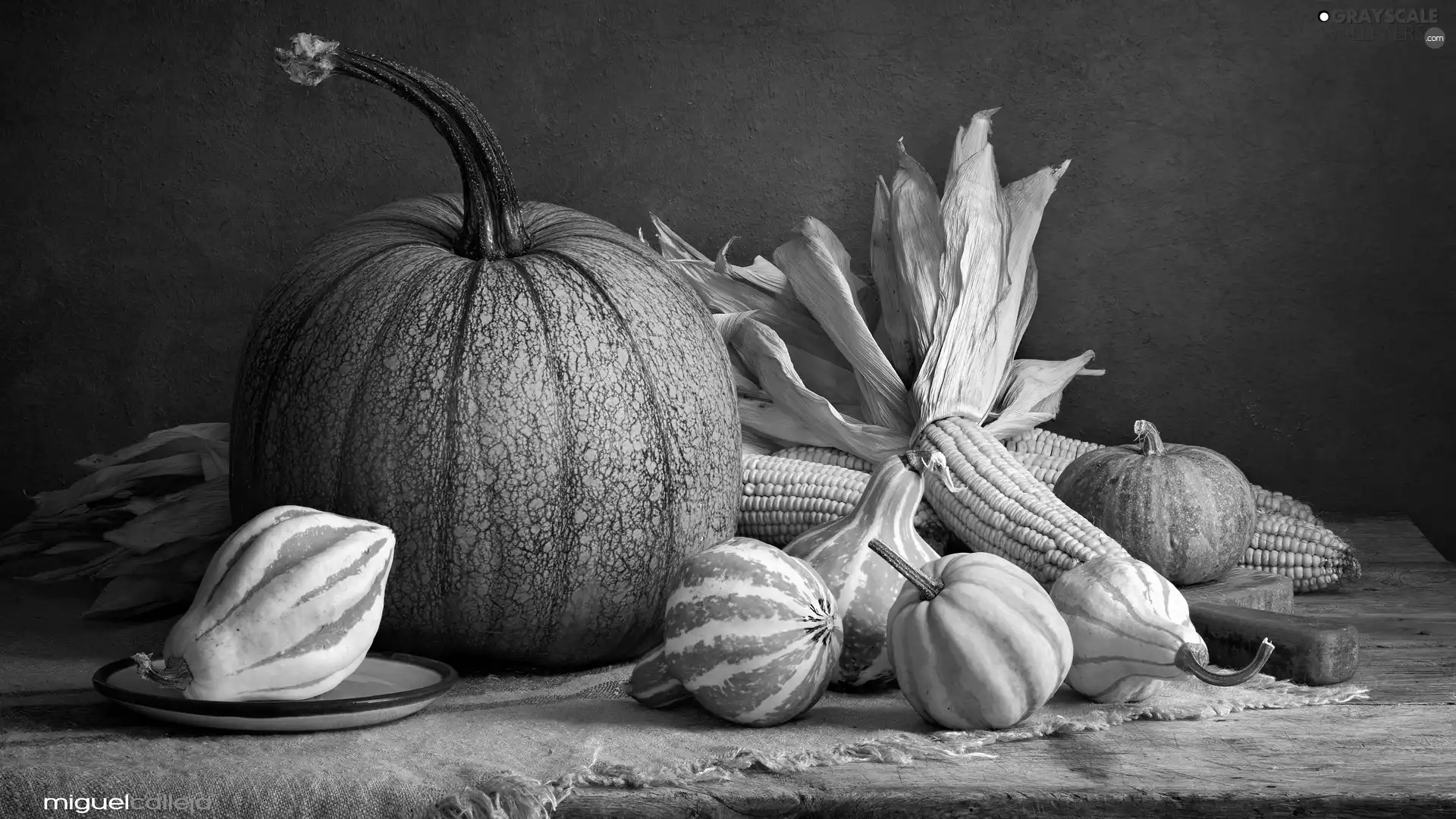corn, composition, pumpkin