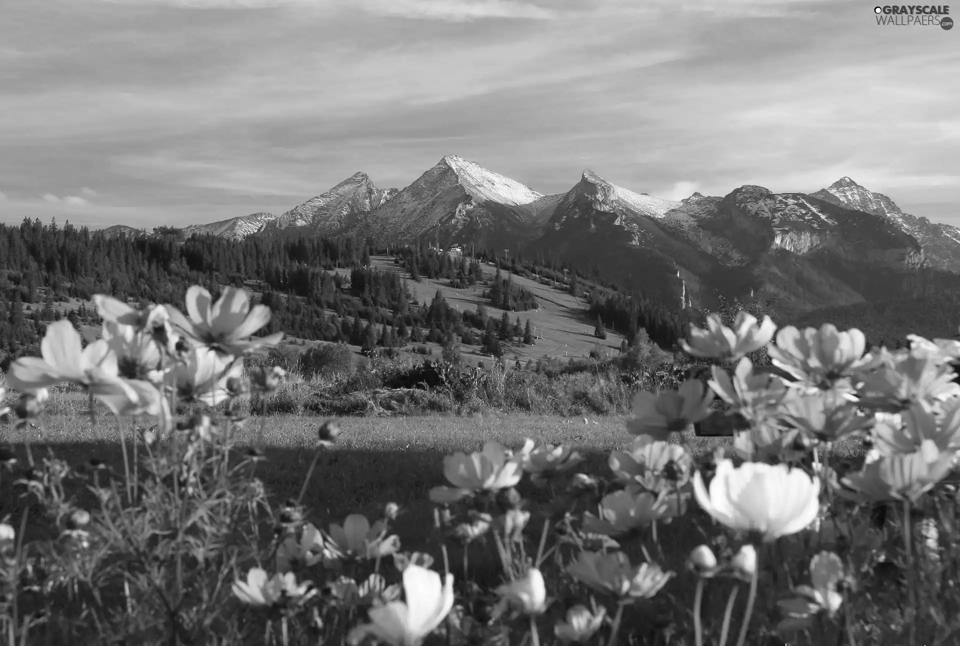 Mountains, Cosmos