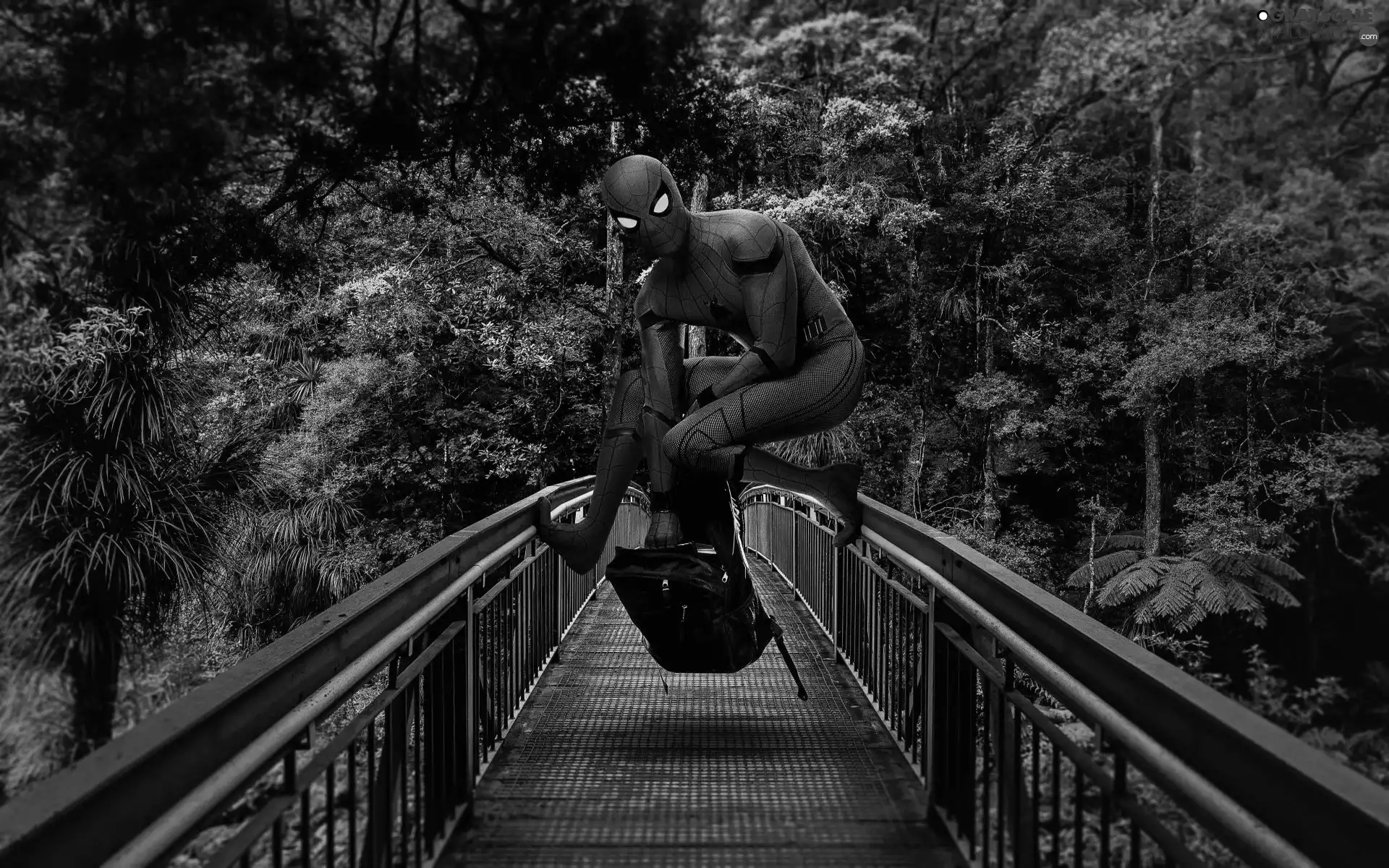 bridge, Spider-Man, costume