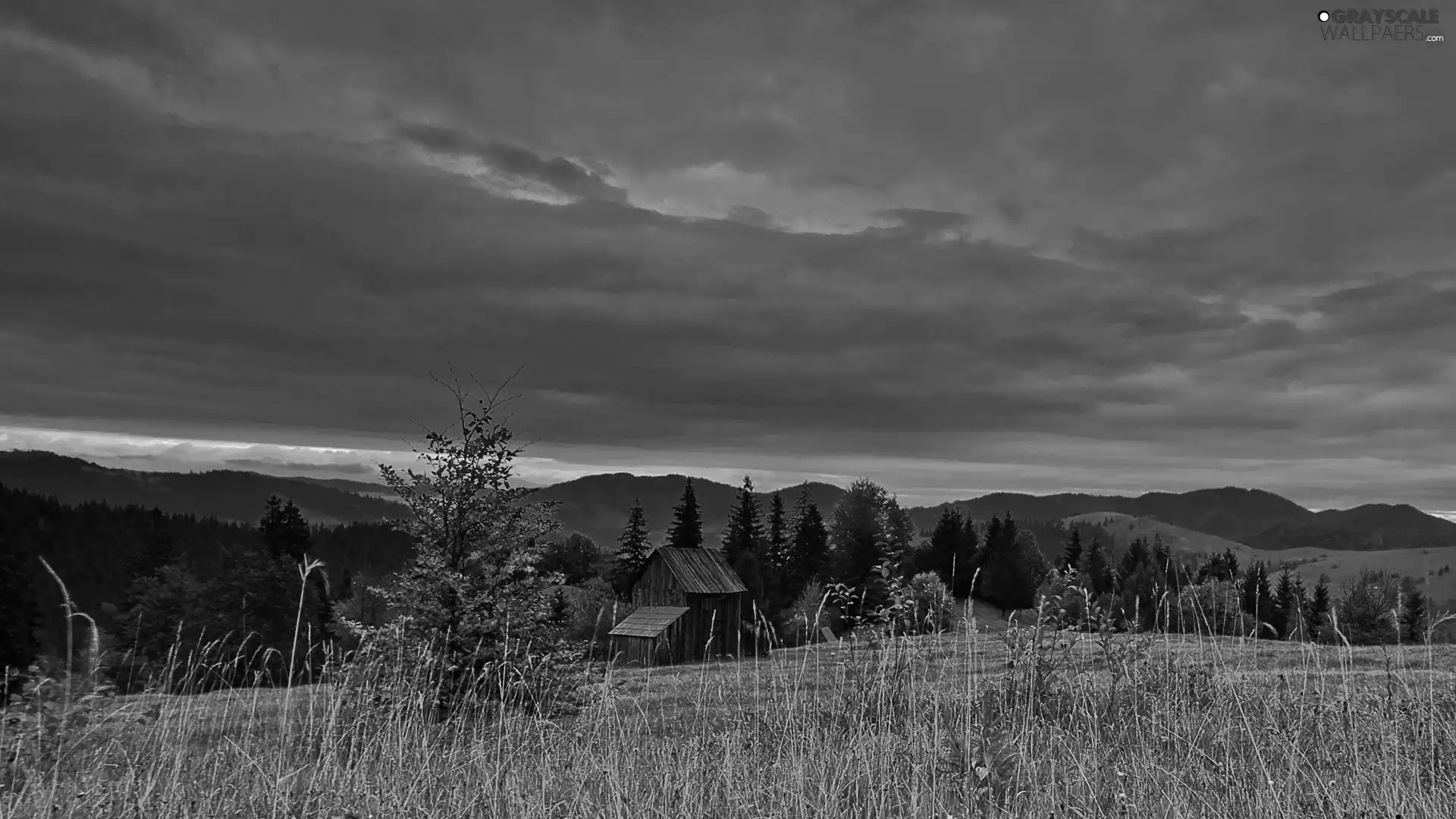 cote, clouds, woods, medows, Mountains