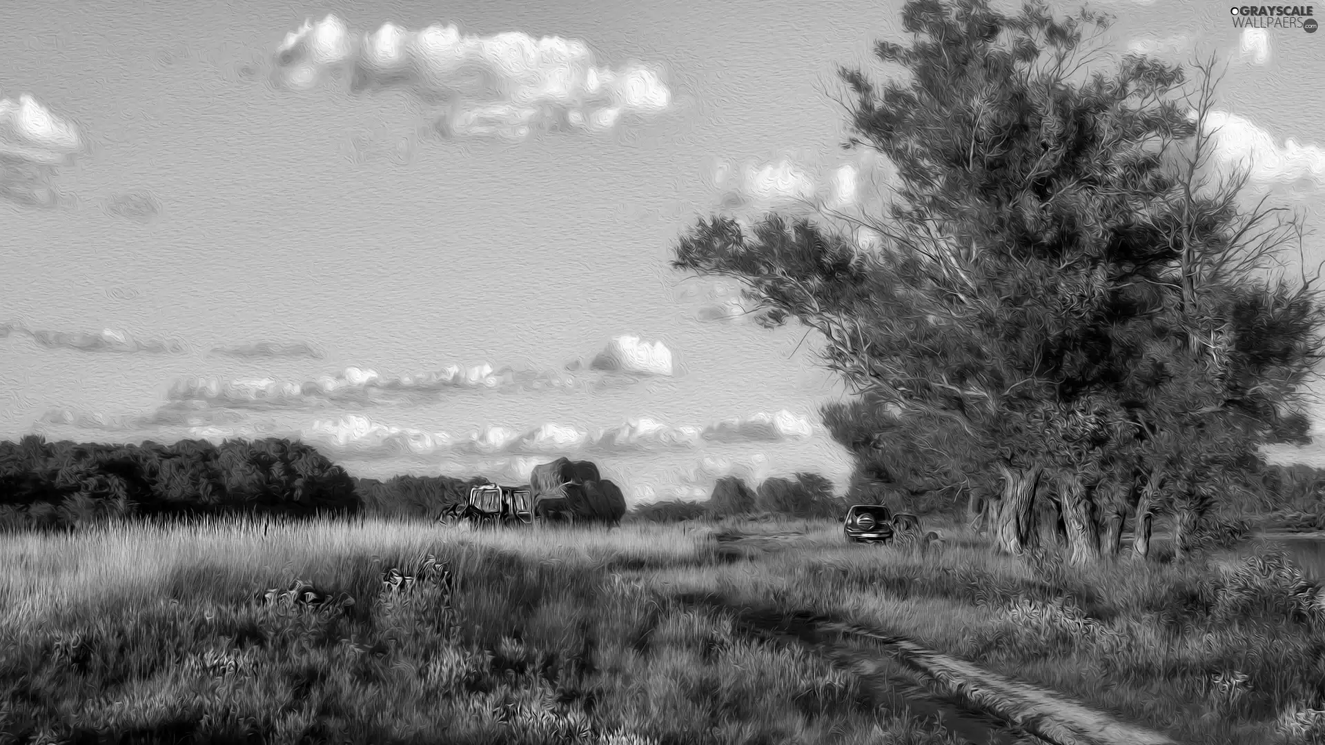 summer, picture, country, field, agrimotor, Hay, trees, viewes, clouds