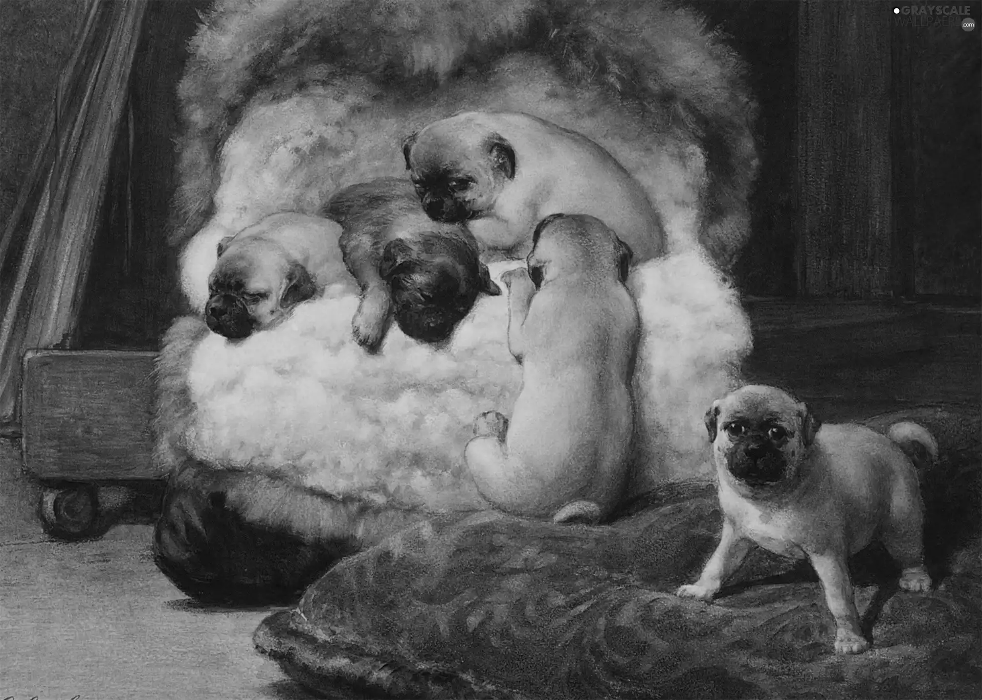Puppies, cover
