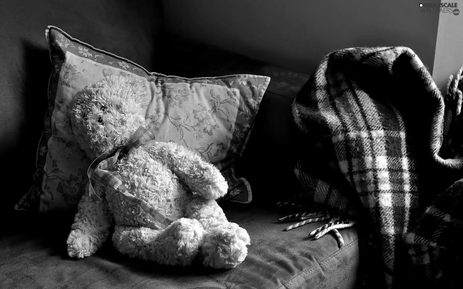 teddy bear, pillows, coverlet, White Bed
