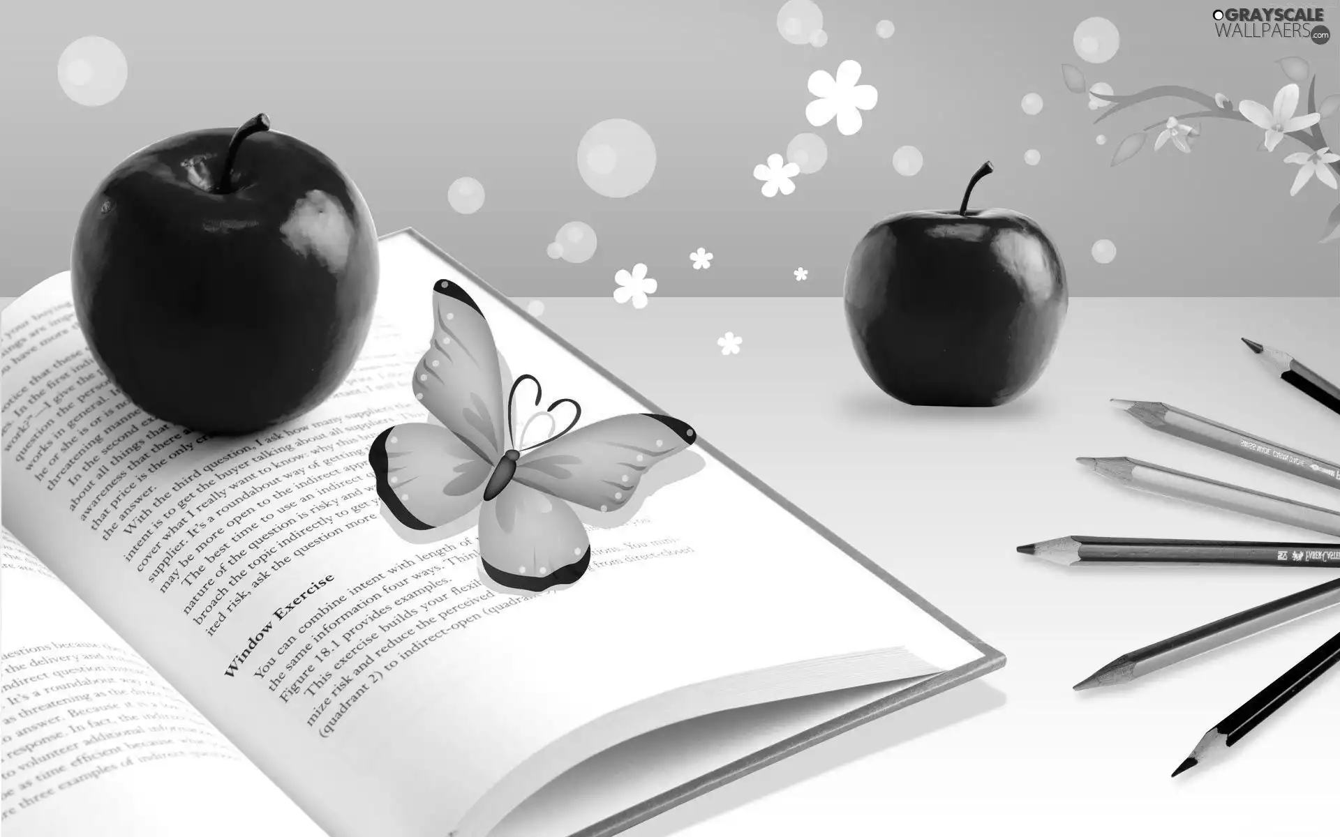 apples, Book, crayons, butterflies