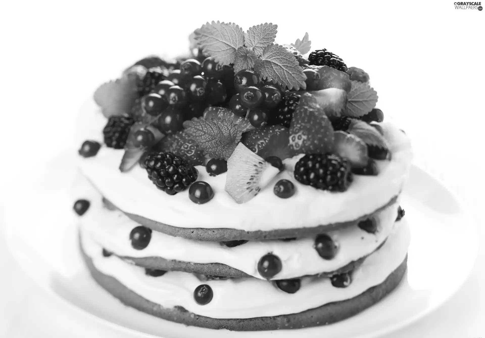cake, whipped, cream, fruity