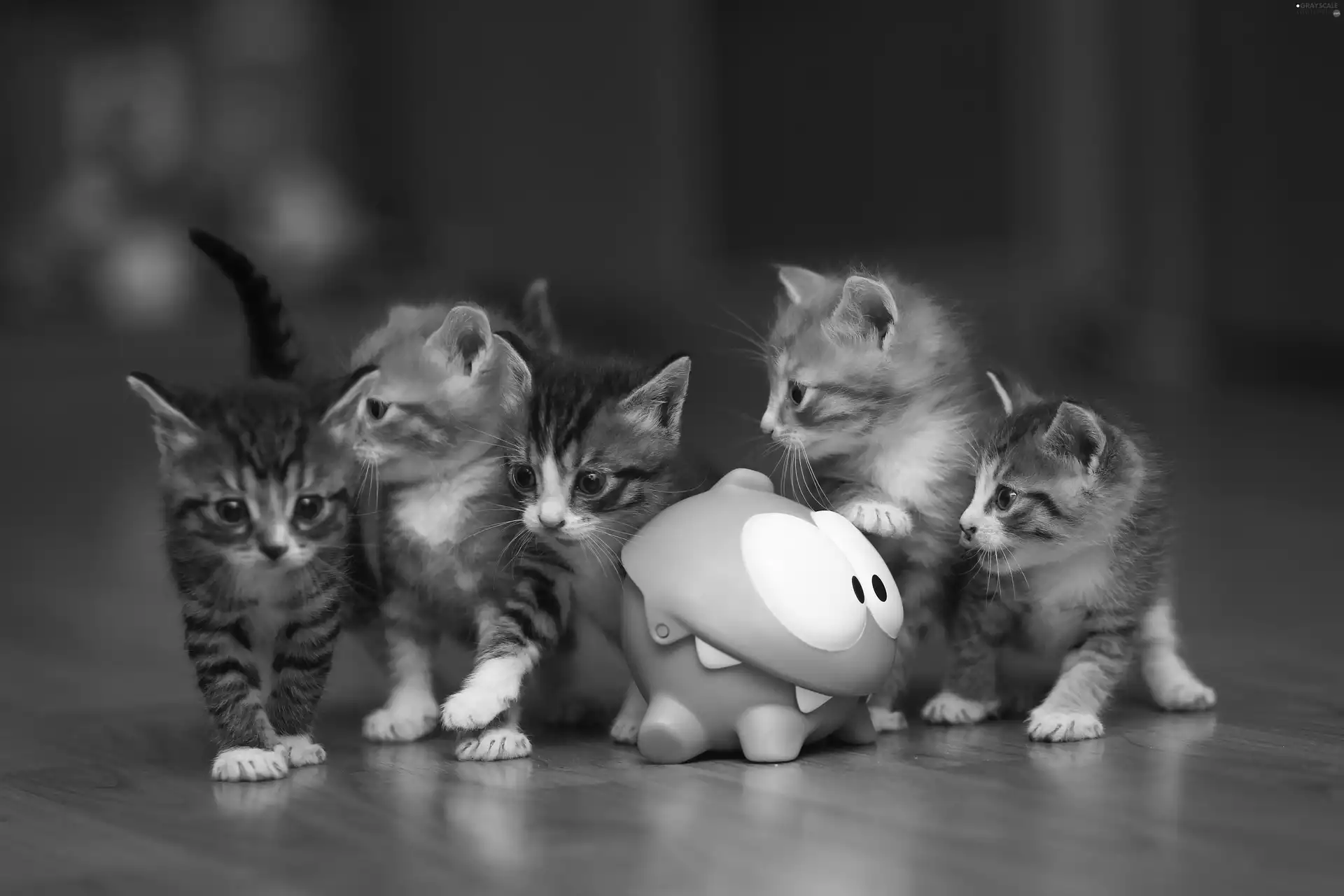 creature, puss, Green