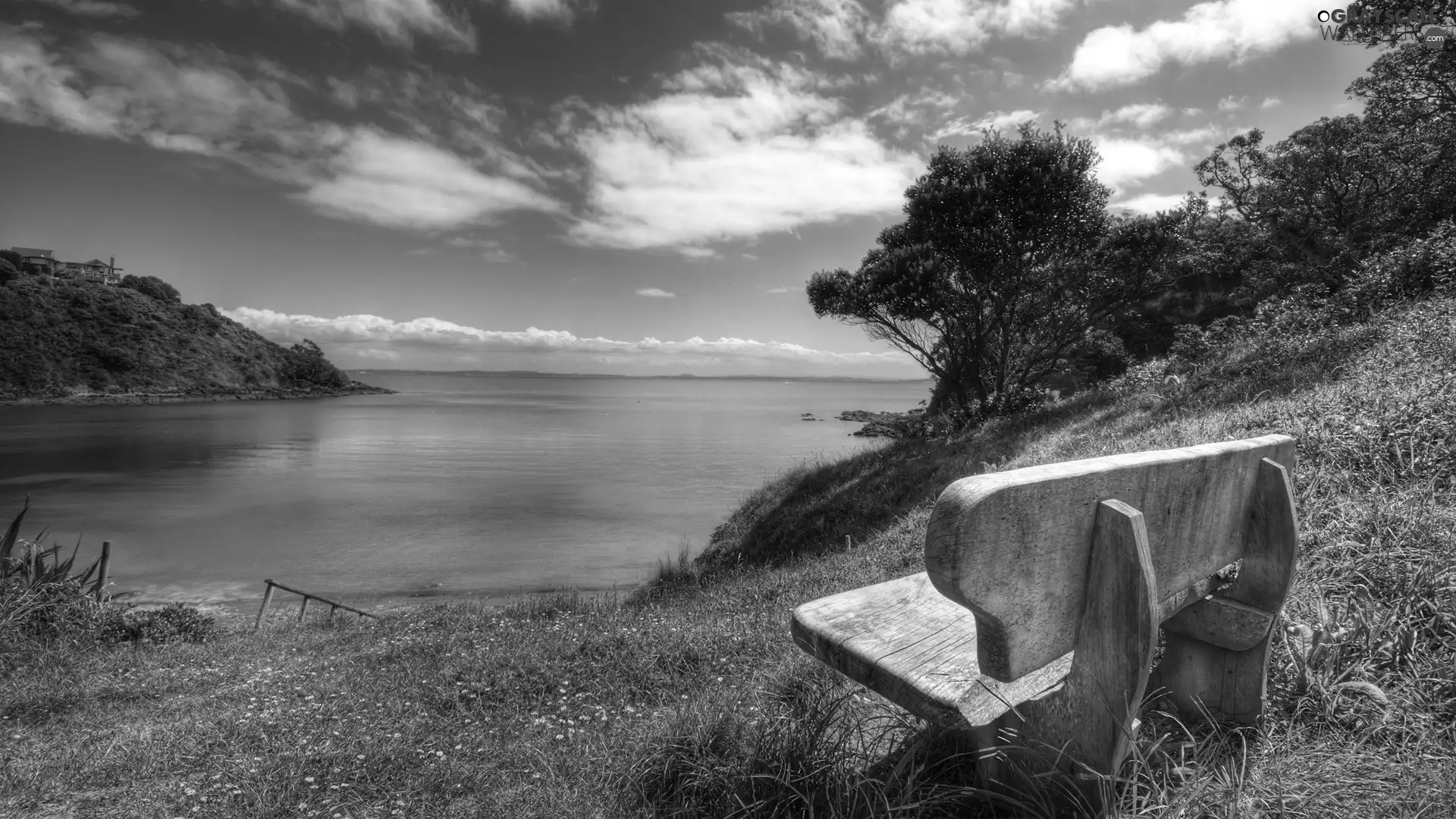 creek, Bench, Quiet