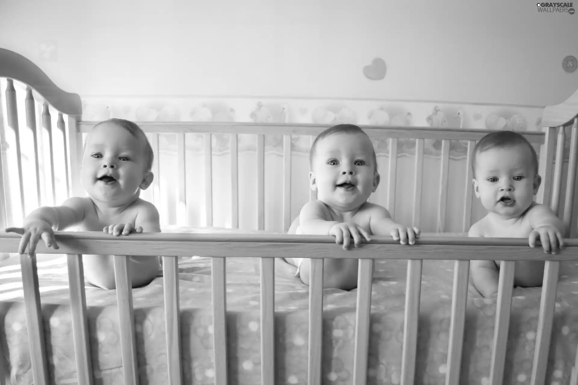 crib, Kids, triplets