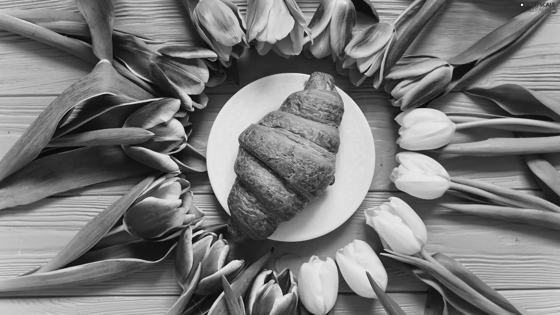 croissant, Croissant, Tulips, plate, color