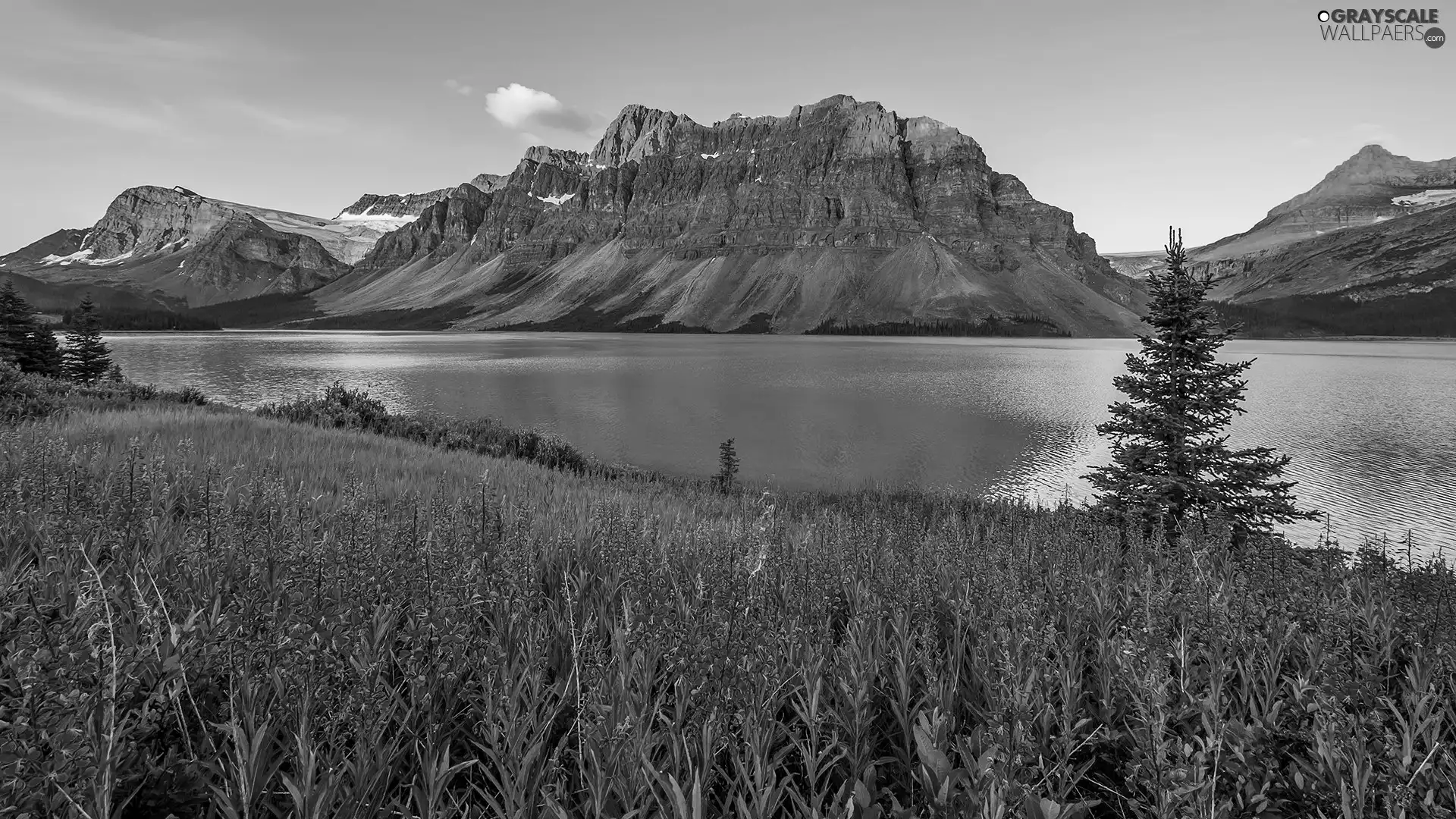Province of Alberta, Canada, Banff National Park, Crowfoot Mountain, viewes, Sunrise, Flowers, trees, Bow Lake