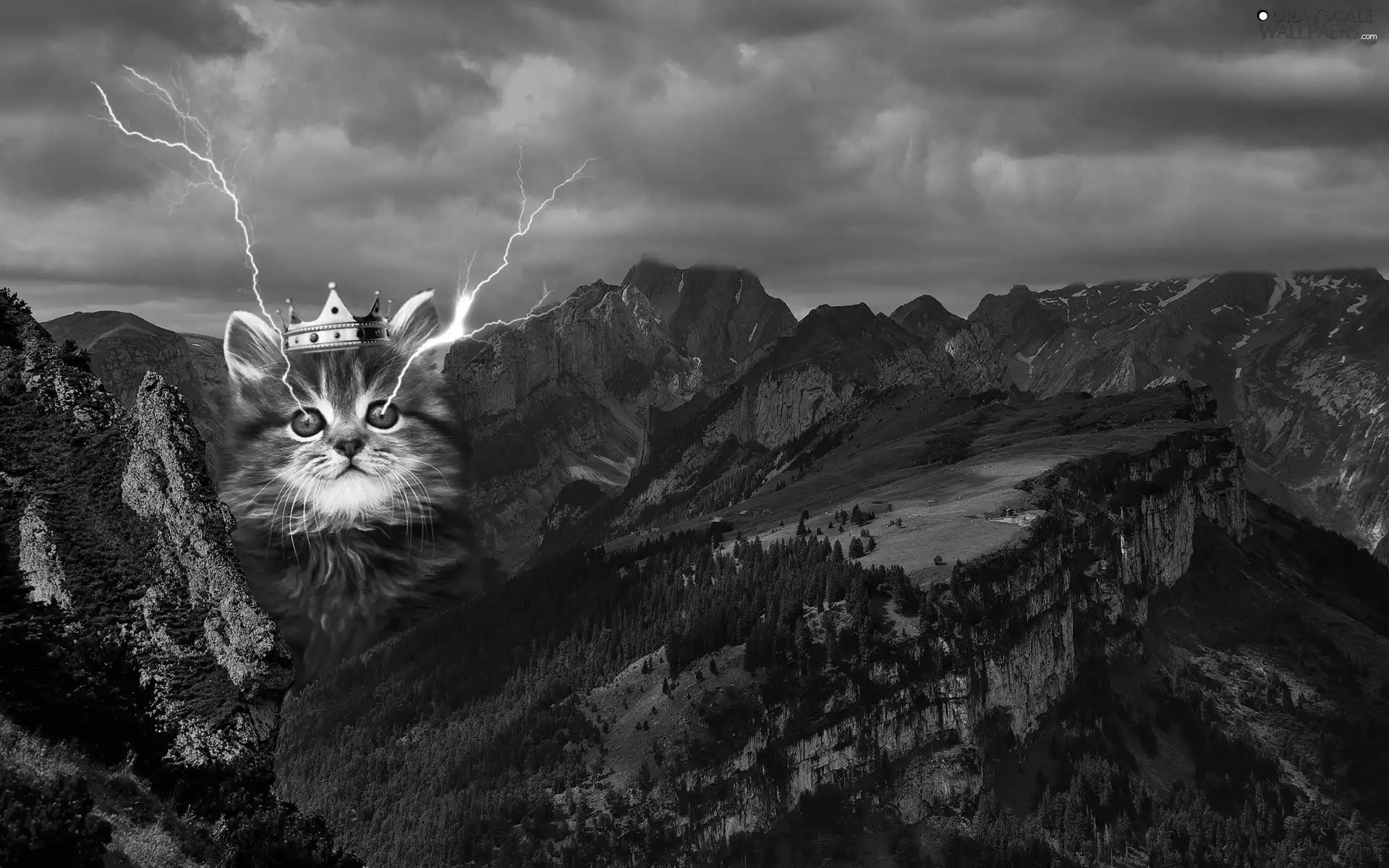 Crown, glimmer, clouds, cat, Mountains