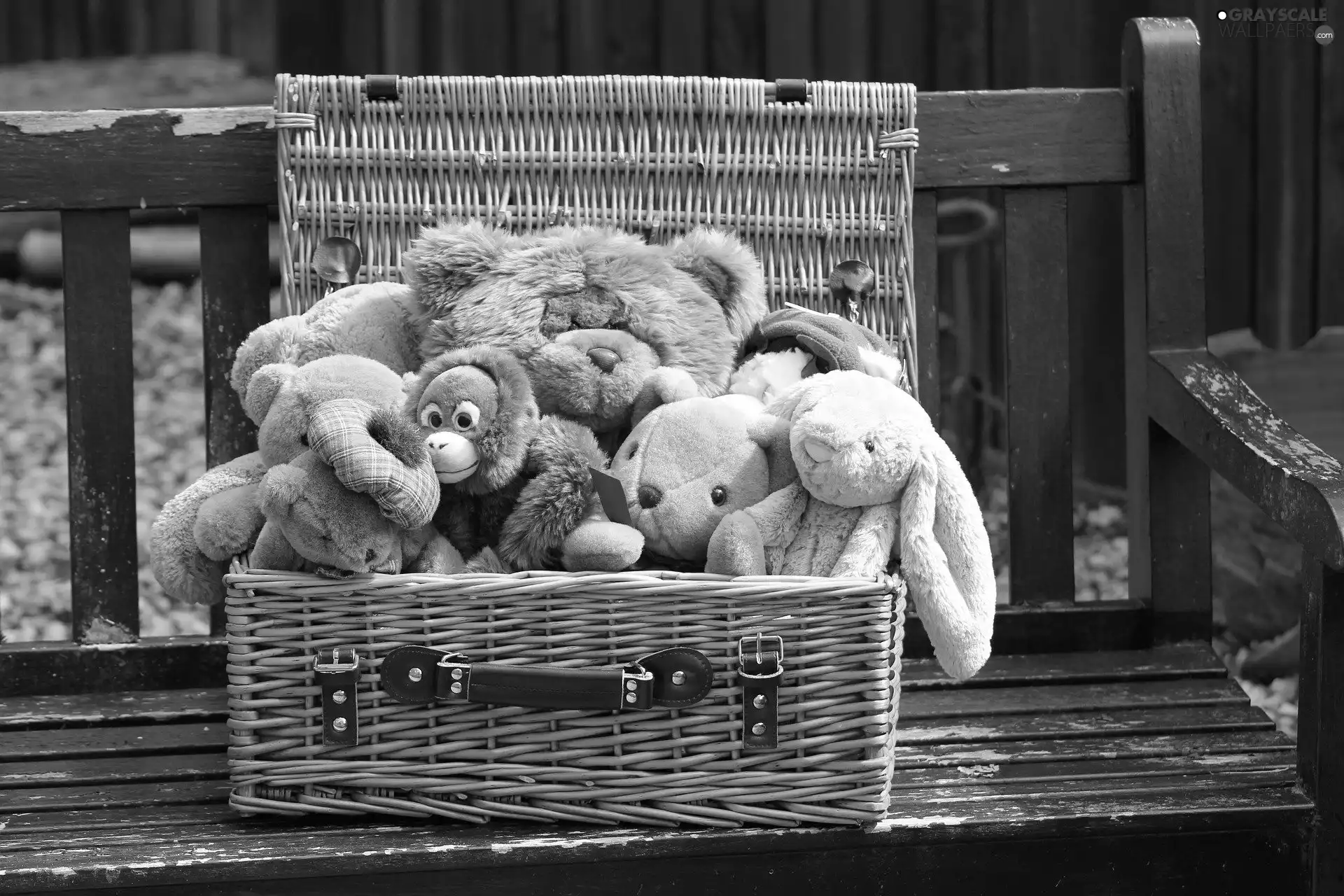 bear, cuddly, basket, plushies, Bench