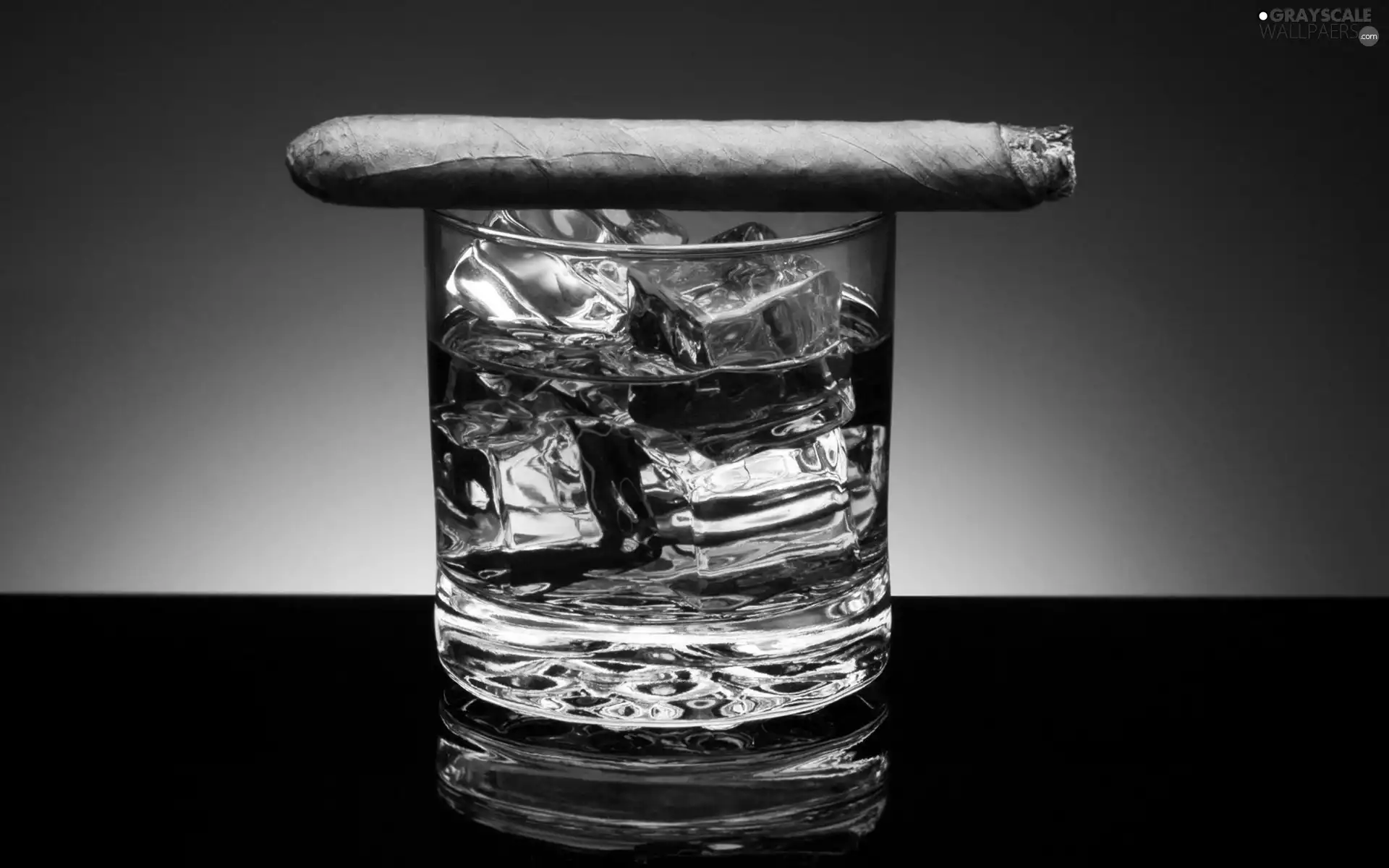 cup, Whisky, cigar