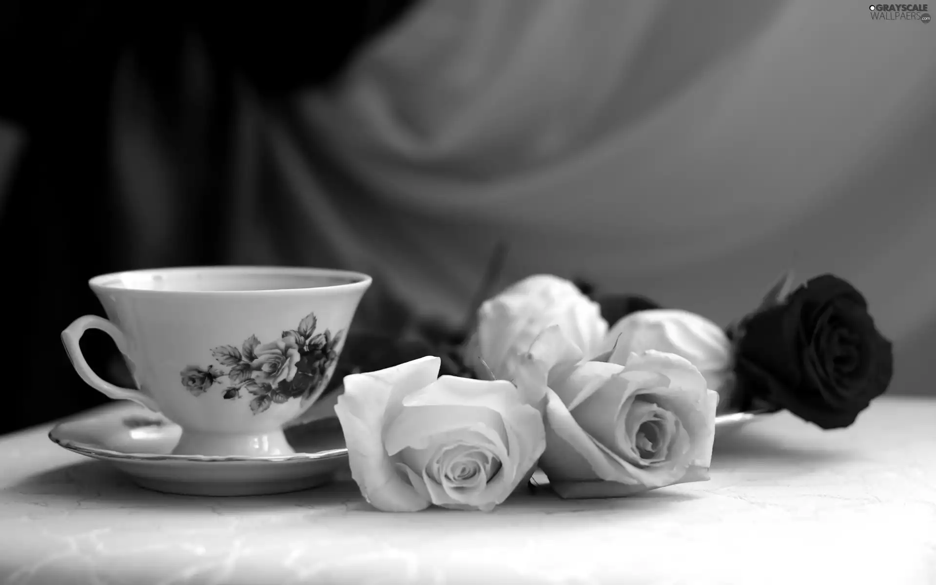 cup, color, roses