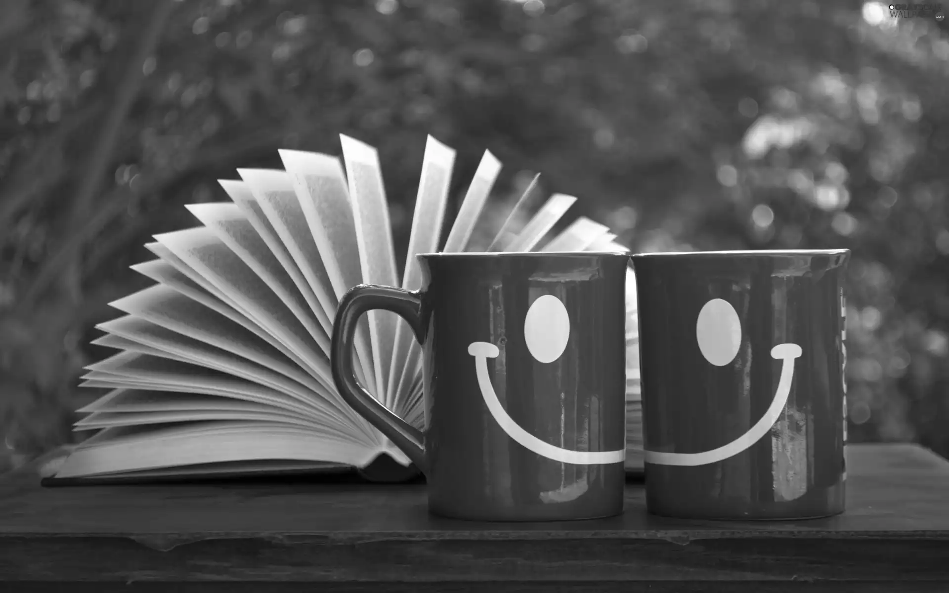 cups, open, Book