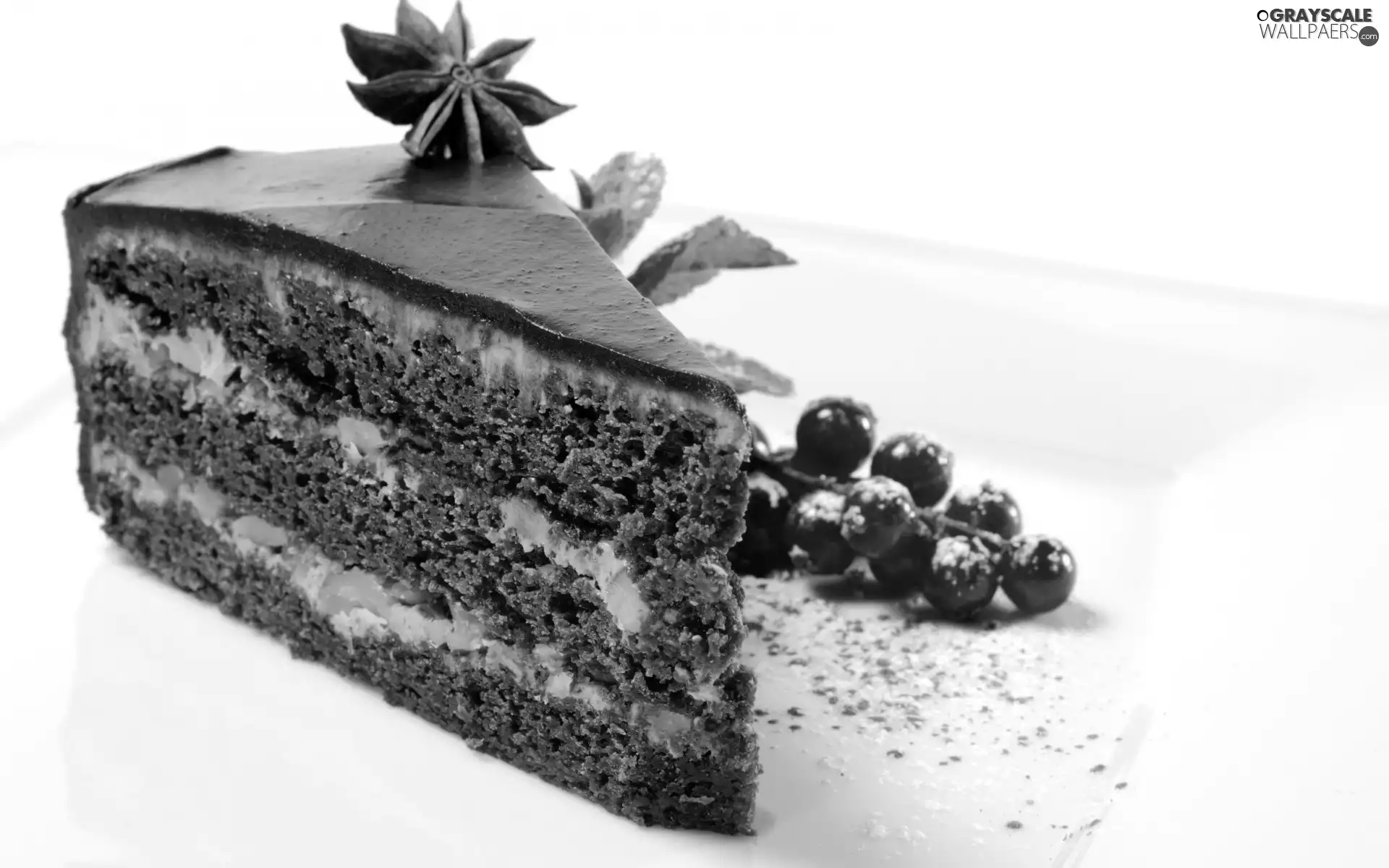 Currant, cake, chocolate