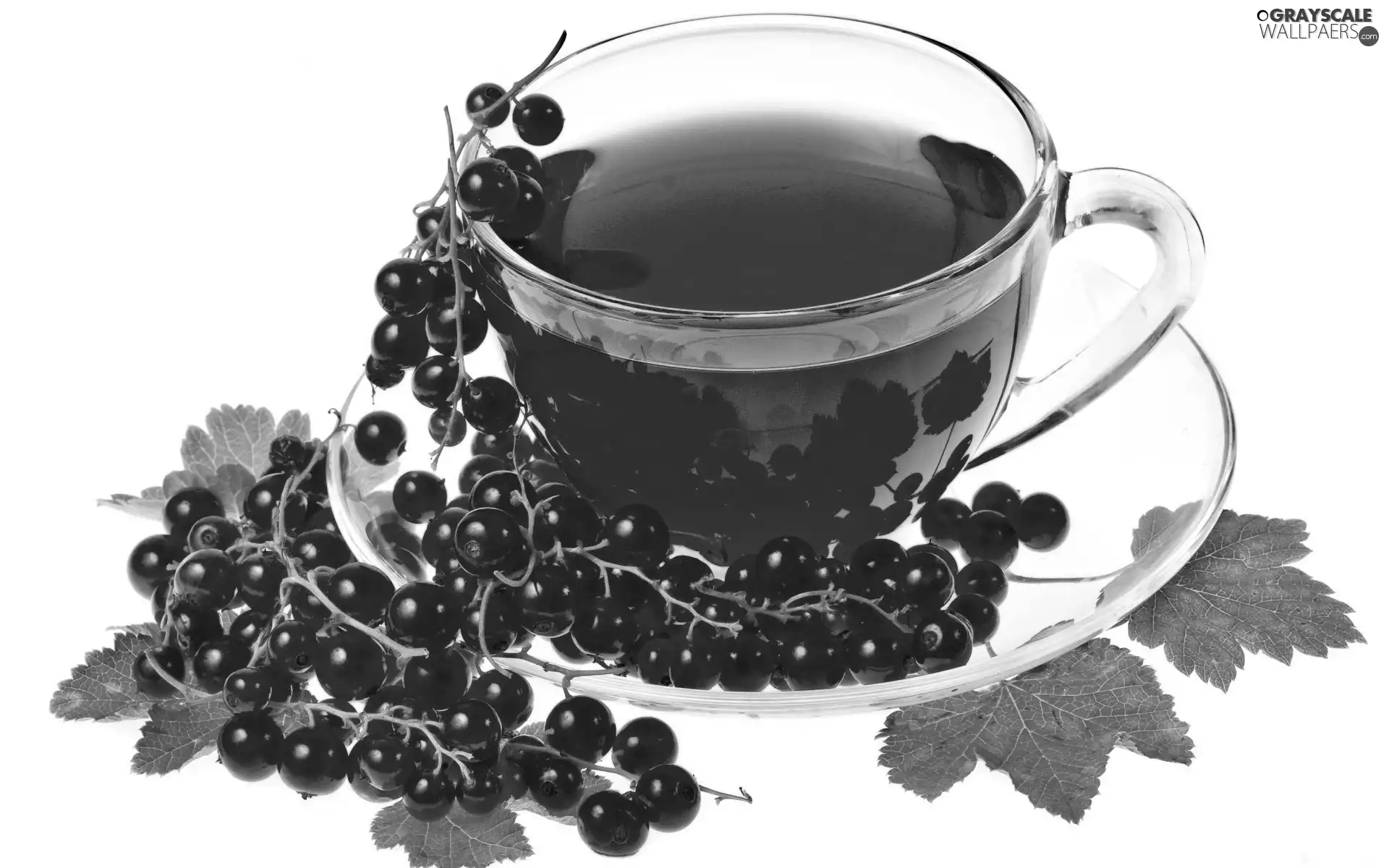 tea, red hot, currant, fruit