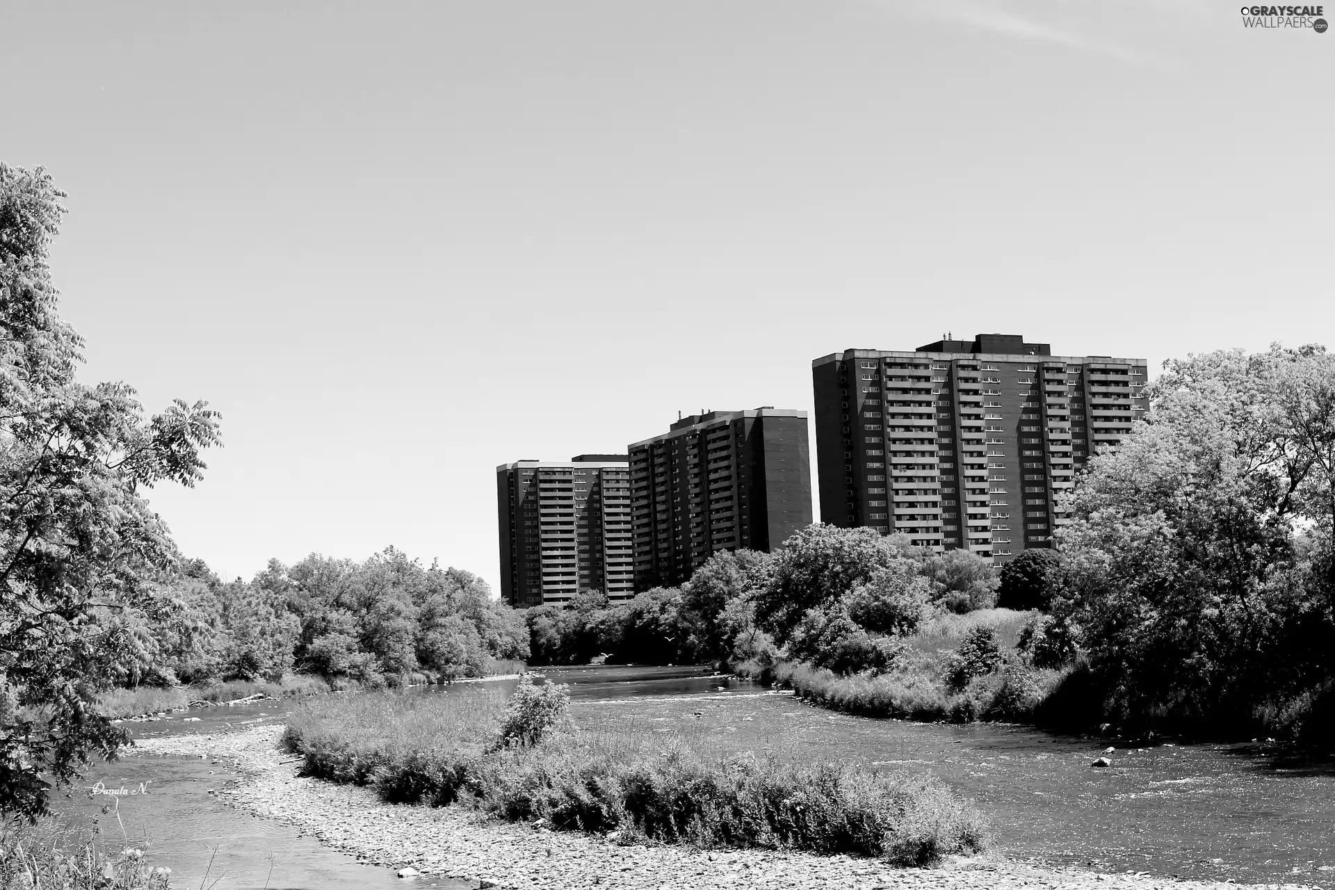 trees, Houses, curve, rivers, viewes, Housing