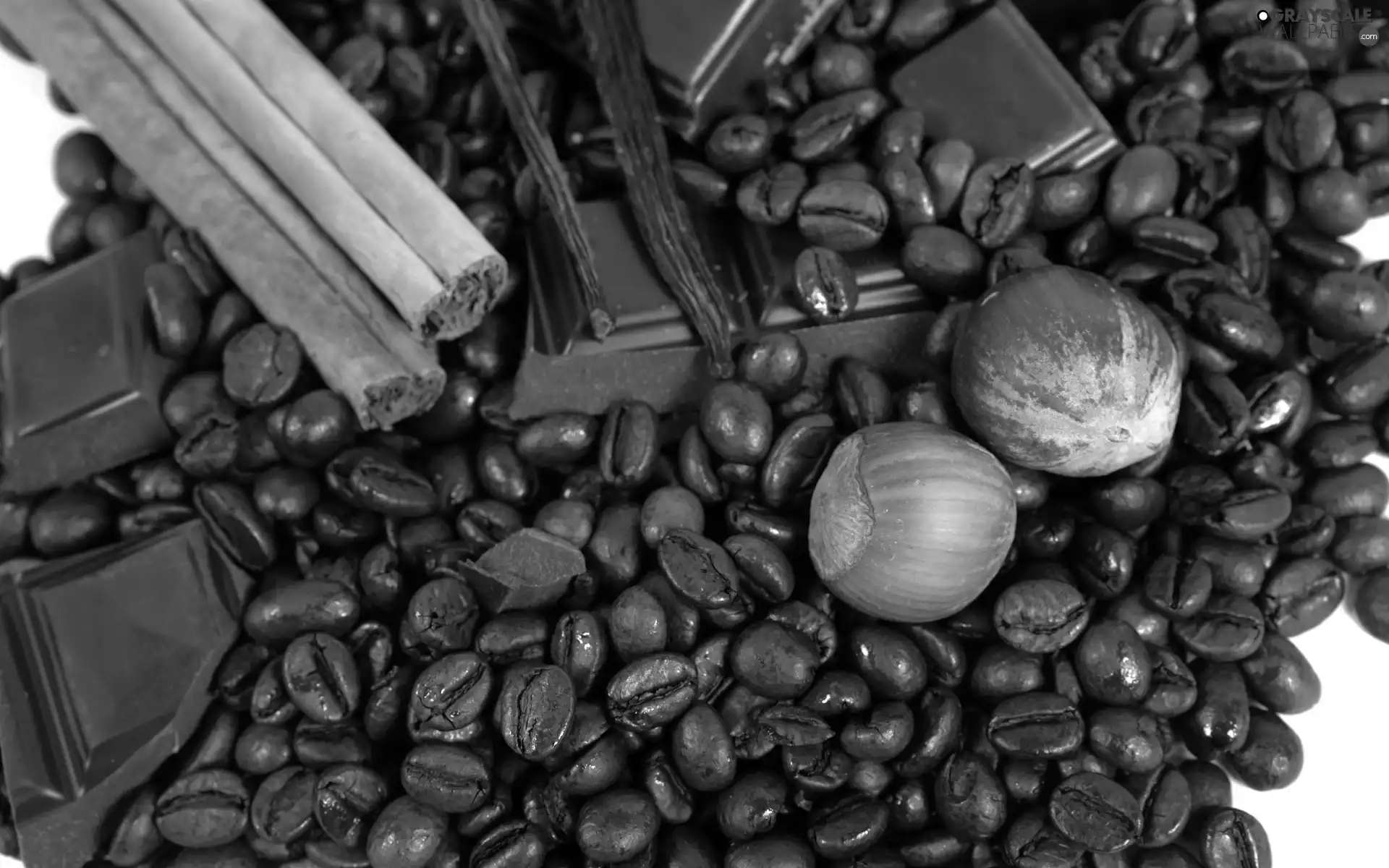 cuts, chocolate, coffee, nuts, grains
