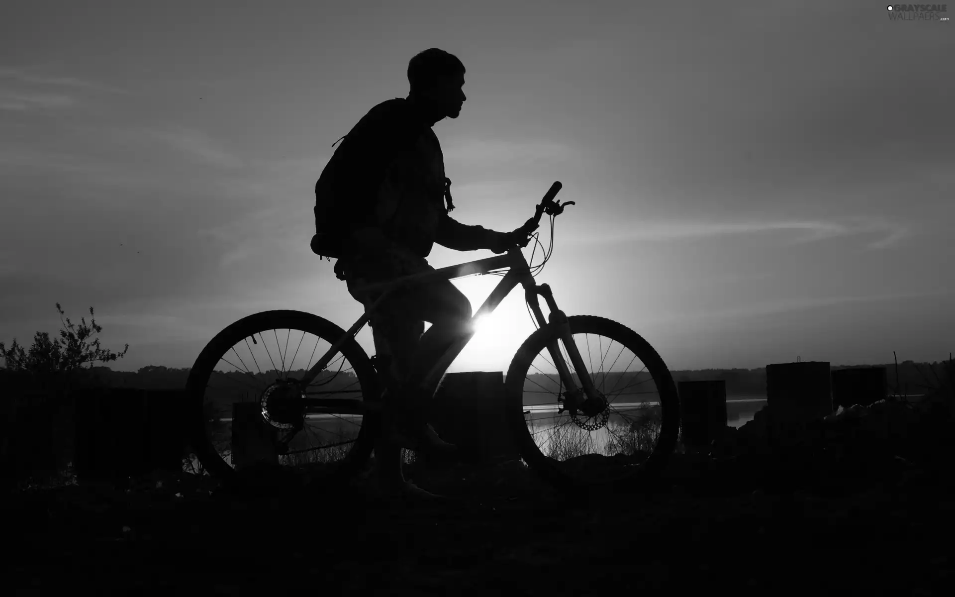 Bike, cyclist