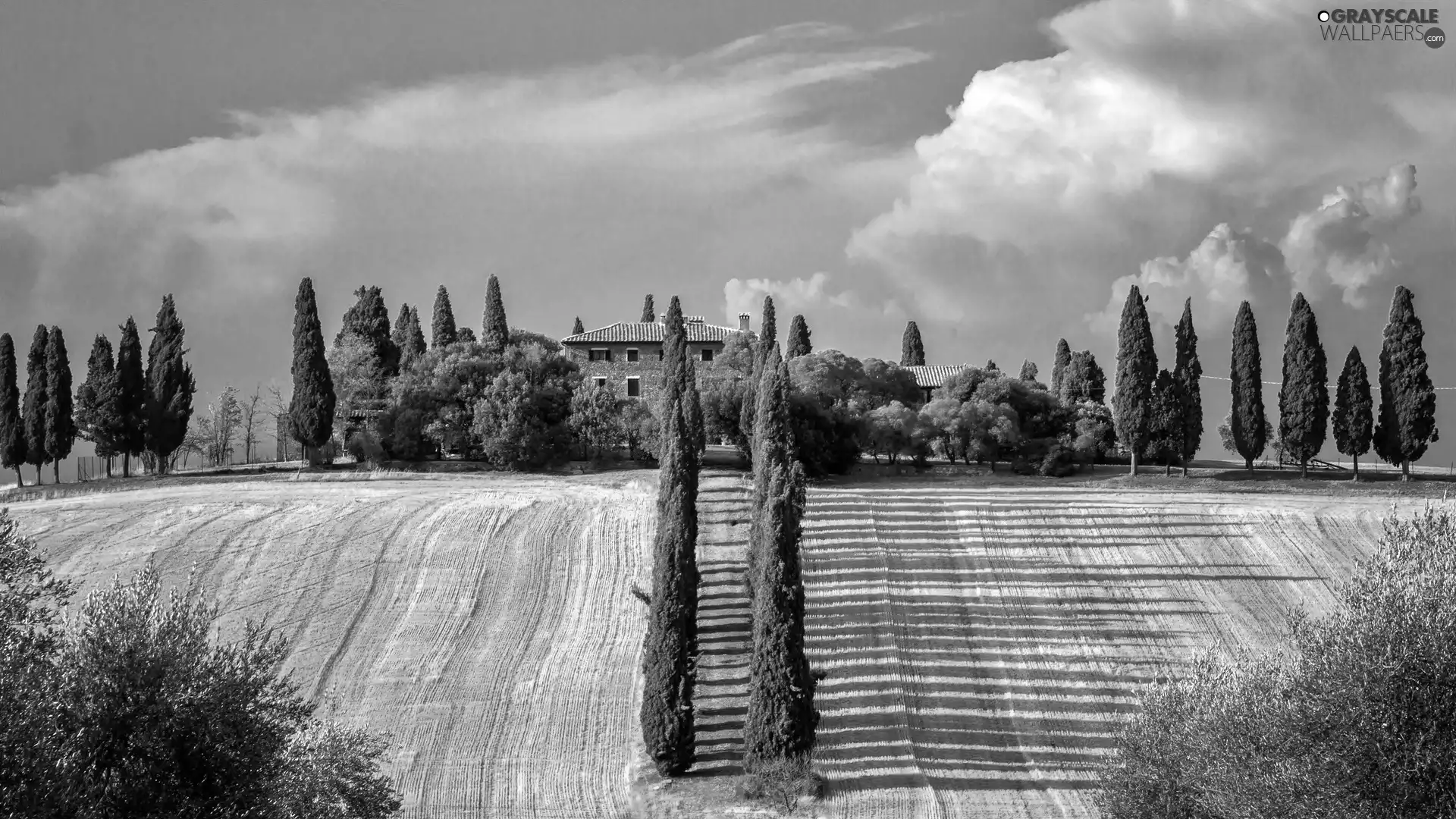 field, house, clouds, Way, Tuscany, cypresses, shadows