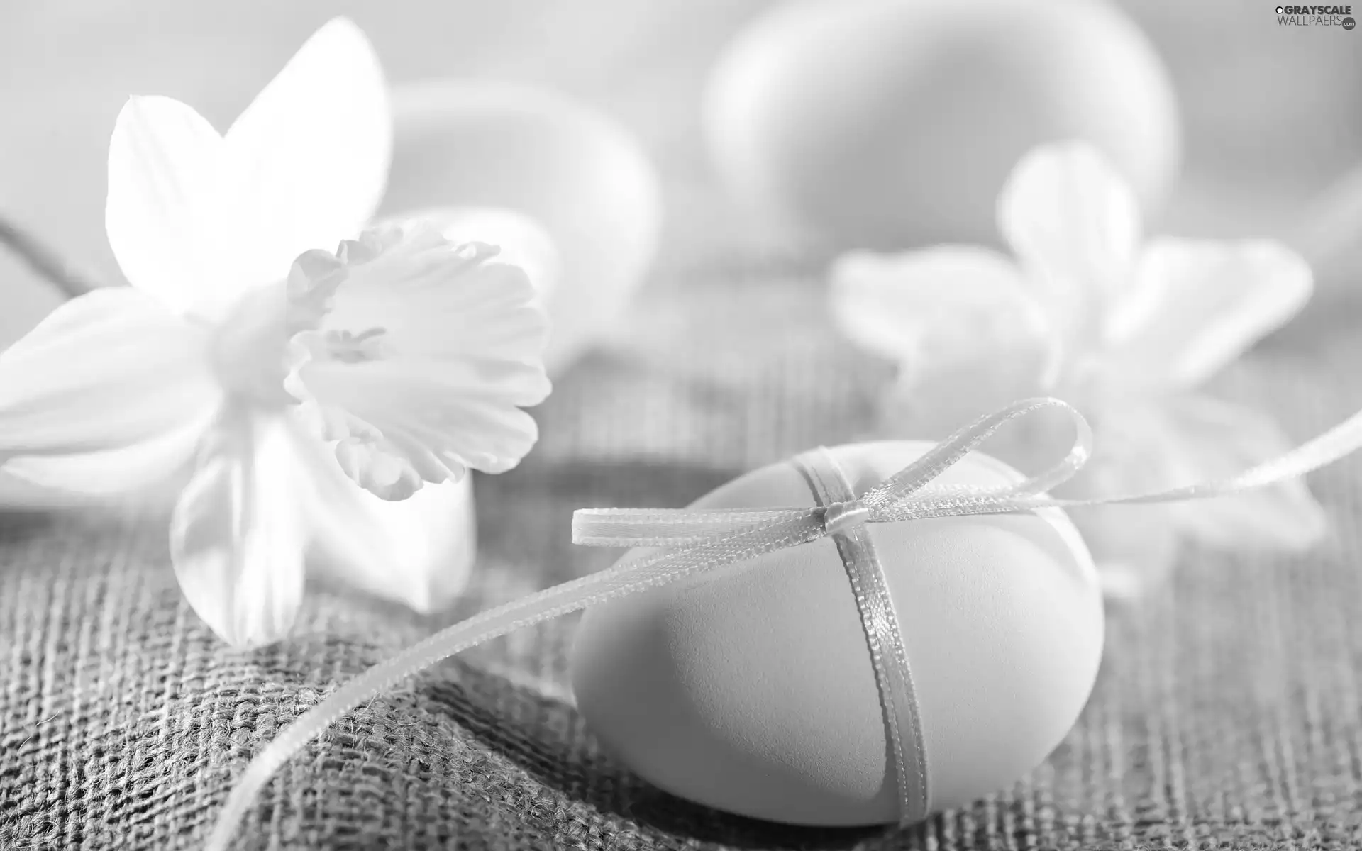 Daffodils, Flowers, egg, Easter egg, Easter