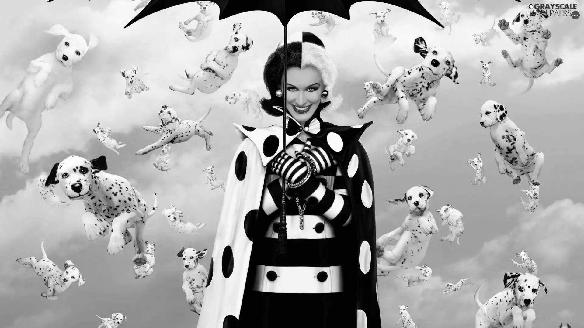 Dalmatians, Women, puppies