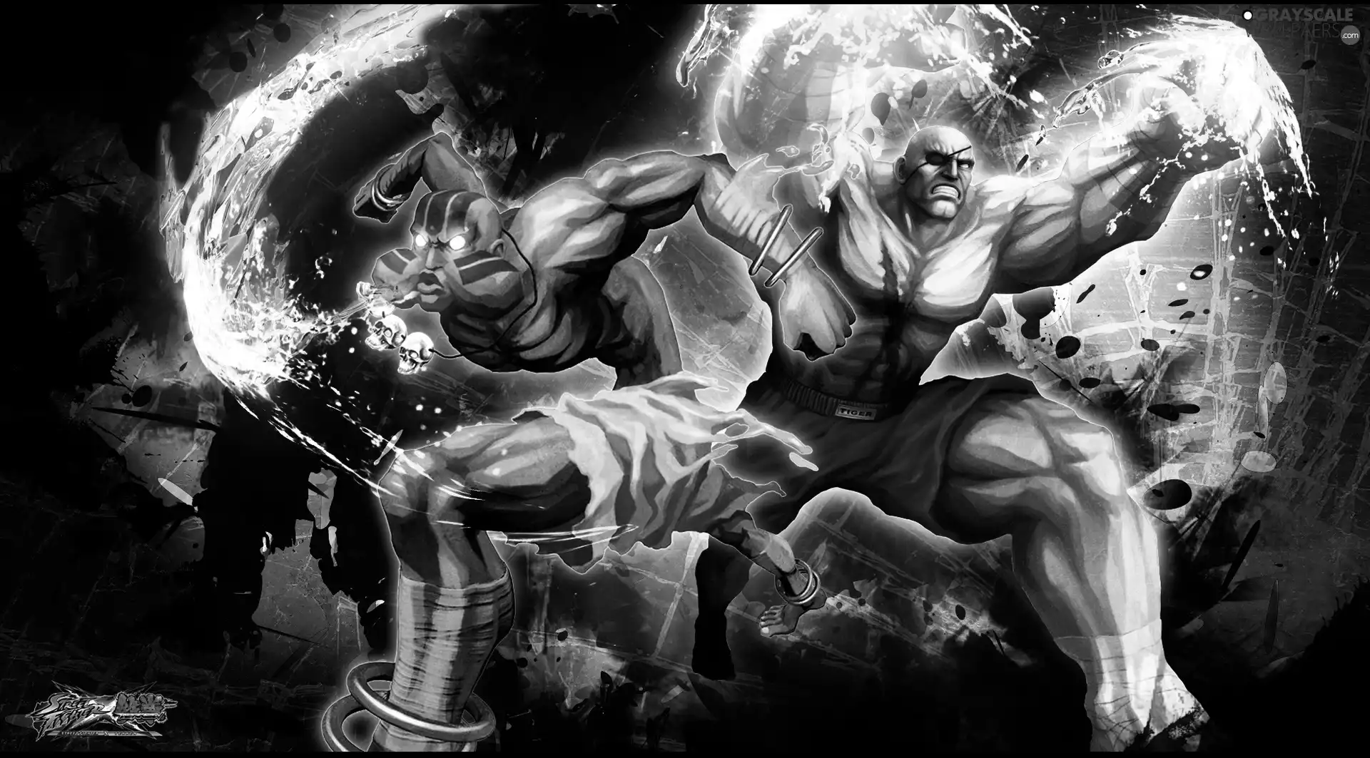 Sagat, Street Fighter X Tekken, Dalsim