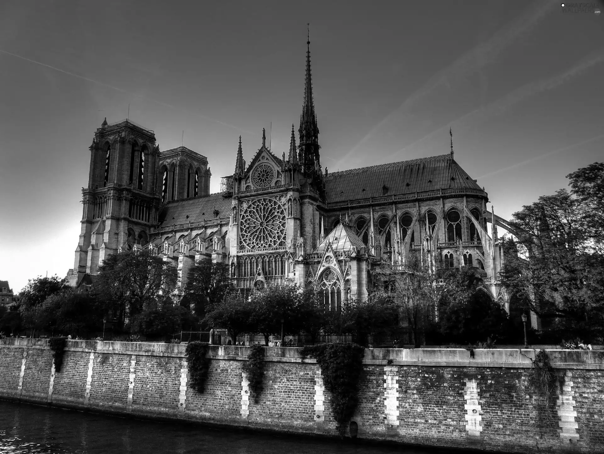 chair, Notre Dame