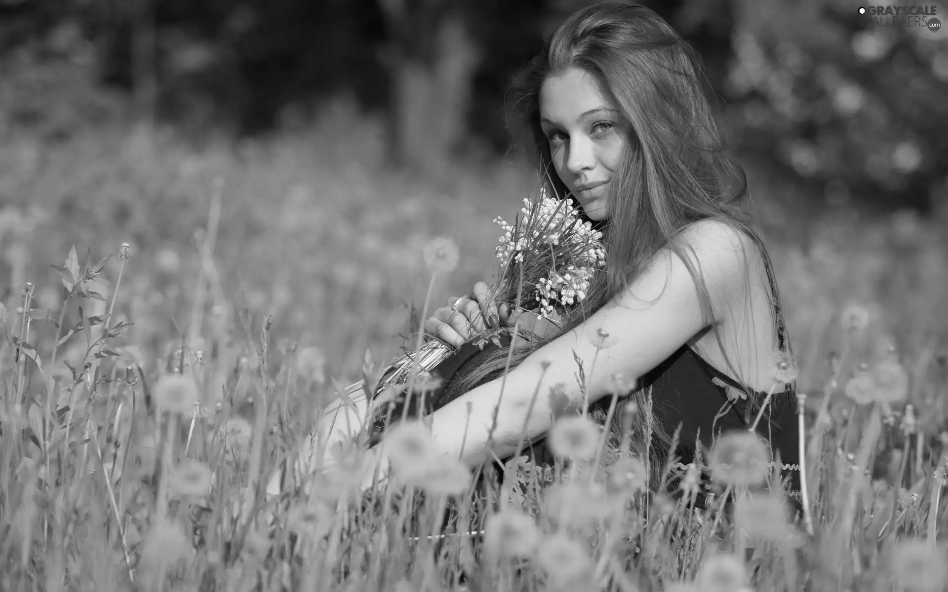 dandelions, Women, Meadow
