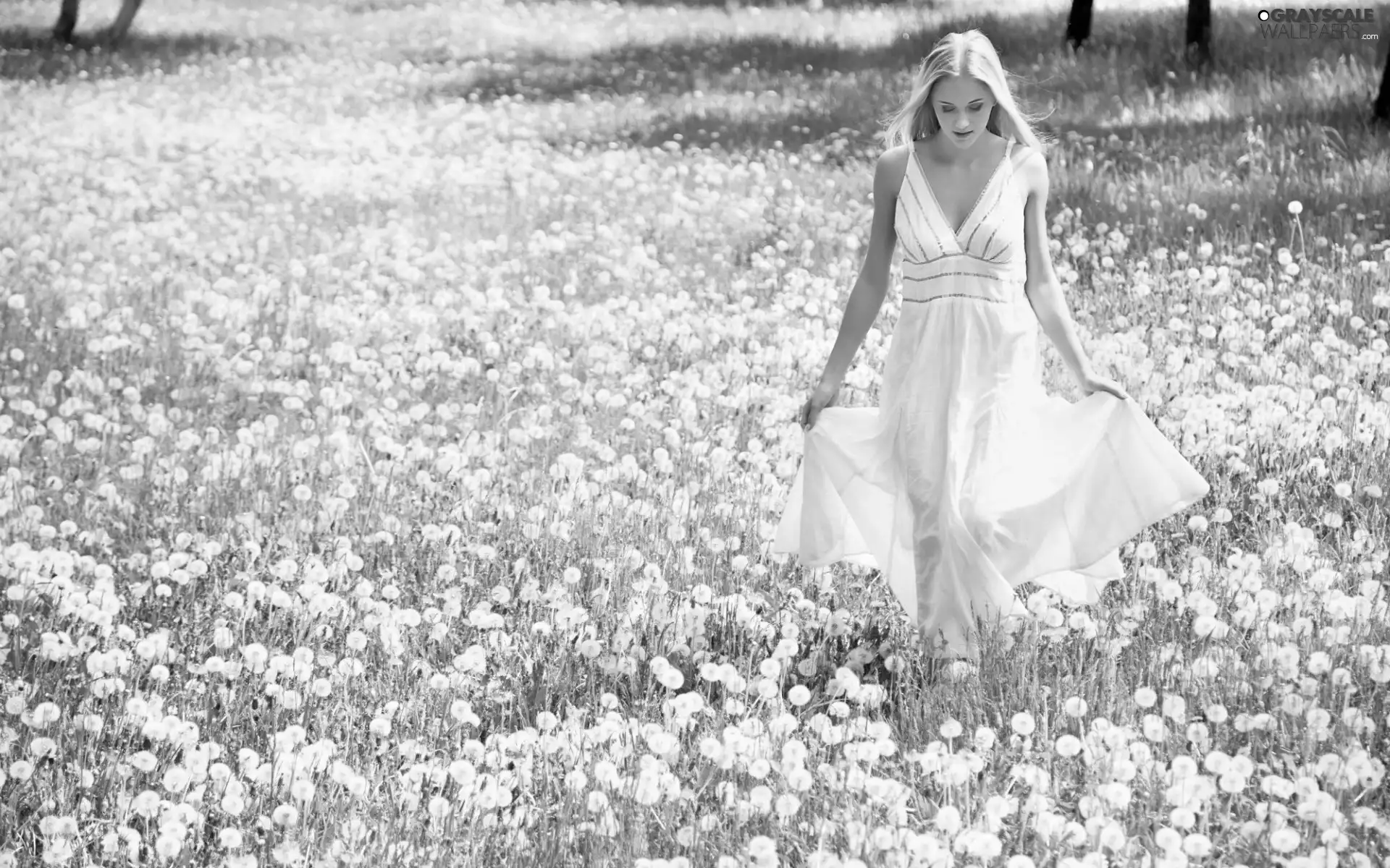 dress, Blonde, dandelions, Spring, Meadow, White