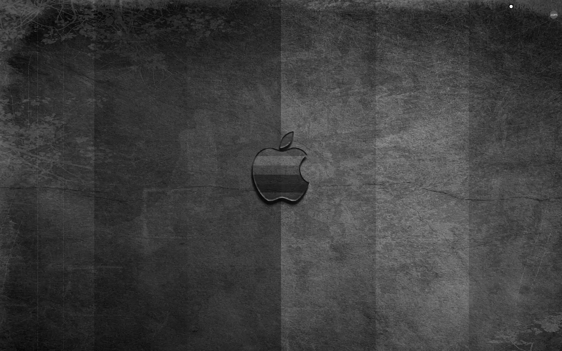 dark, Belts, logo, color, Apple