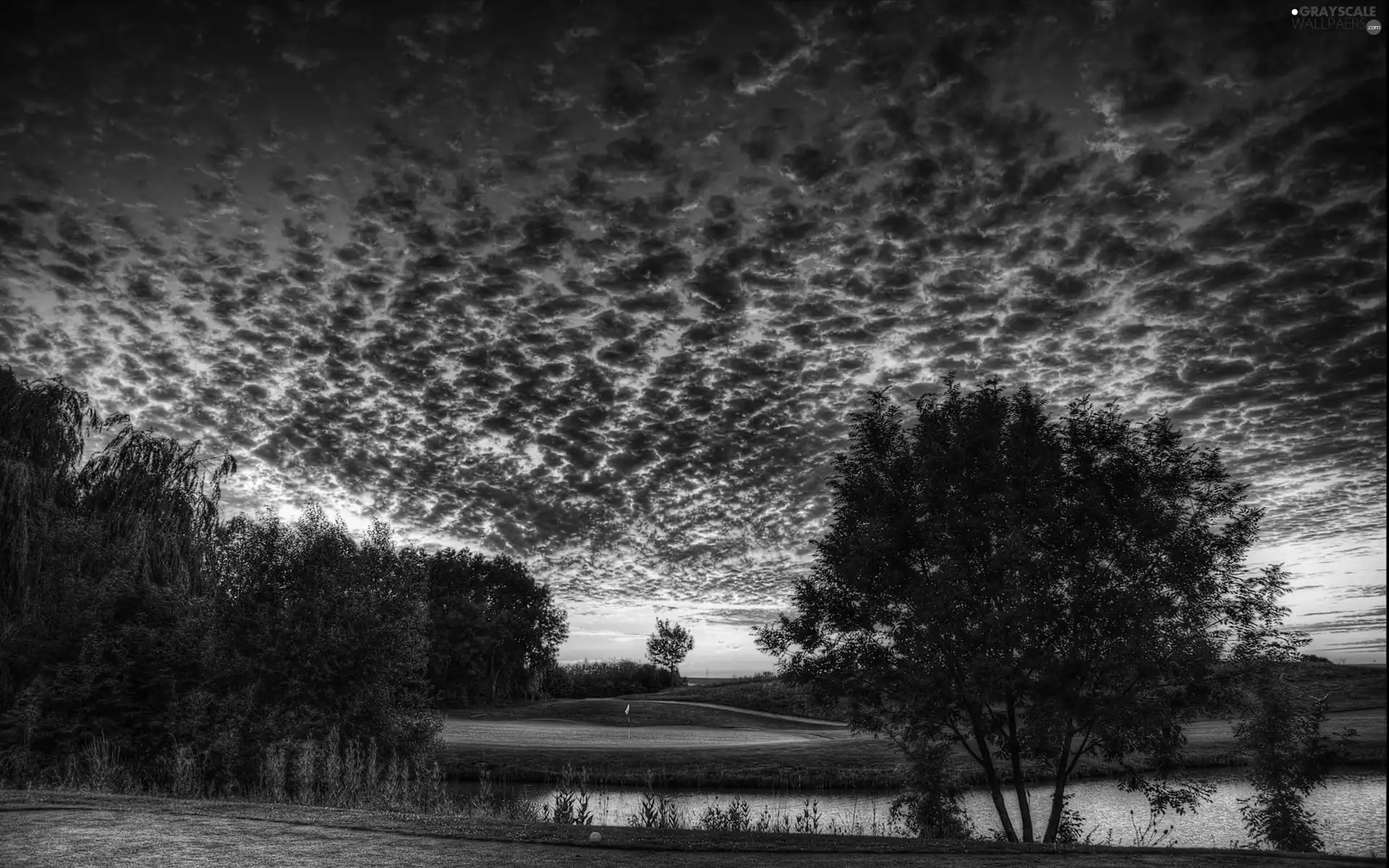 trees, lake, dark, clouds, viewes, grass