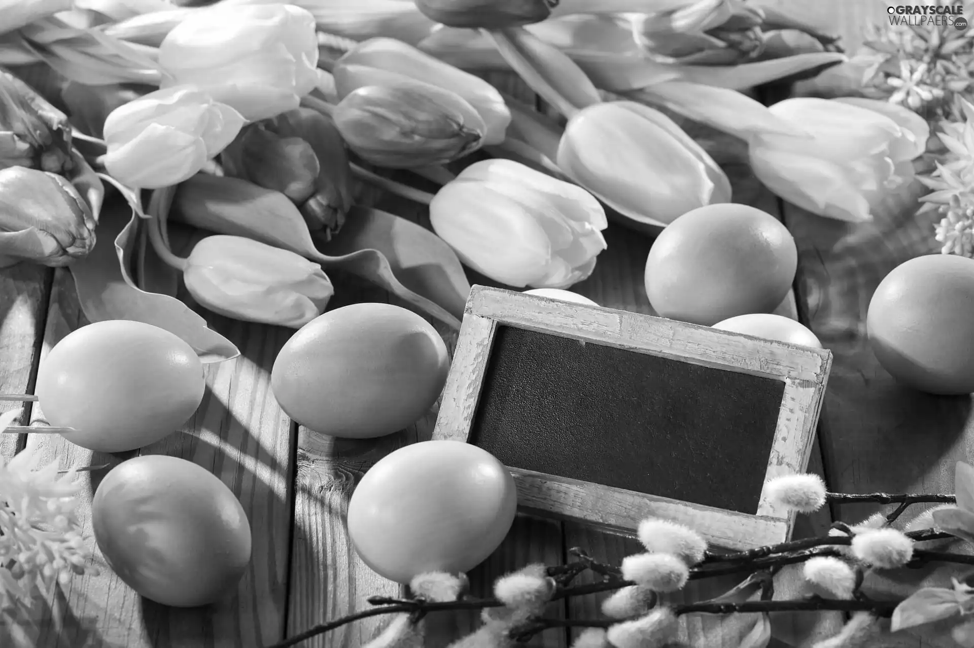 color, Easter, plate, database, eggs, Tulips
