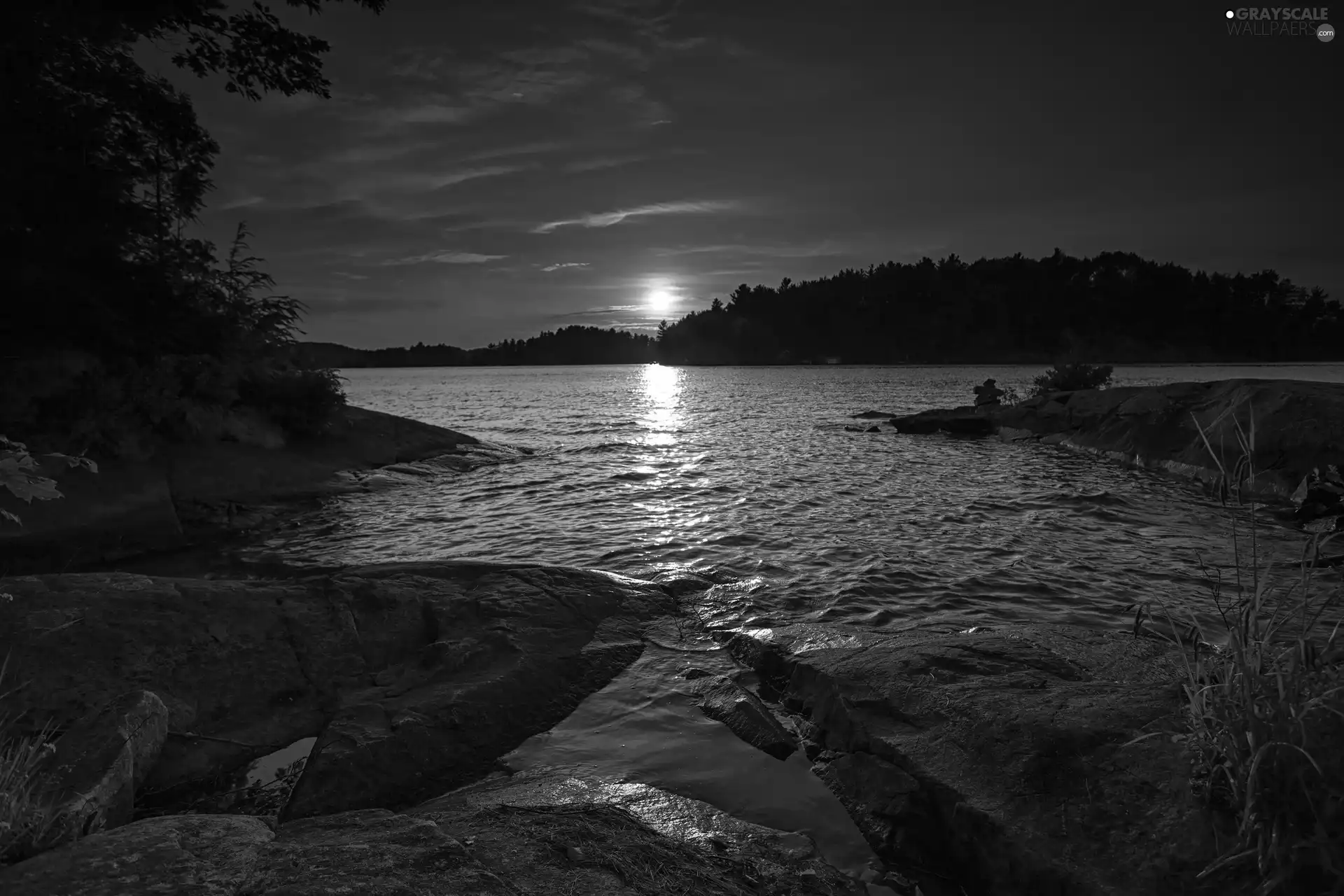 forest, Stones rocks, dawn, lake