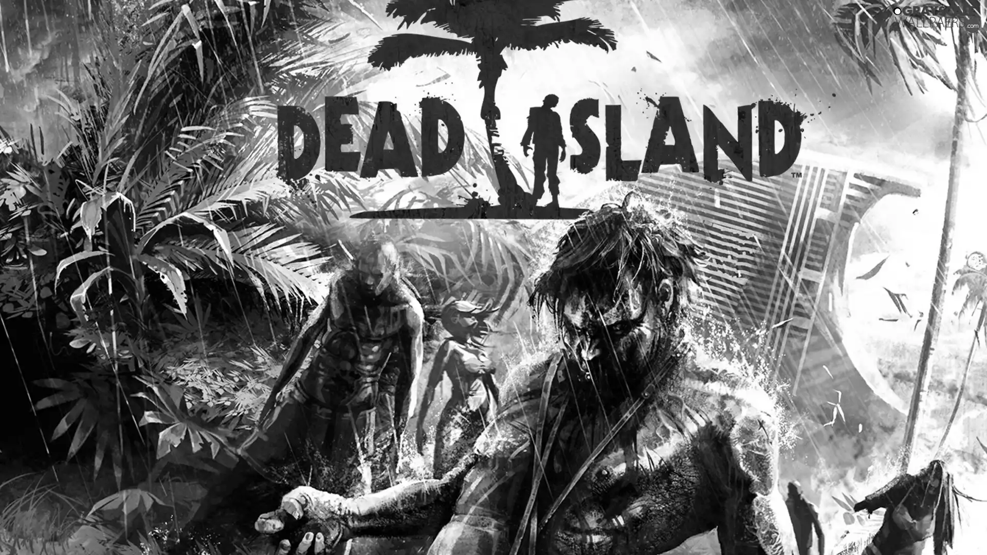 Dead Island, zombie