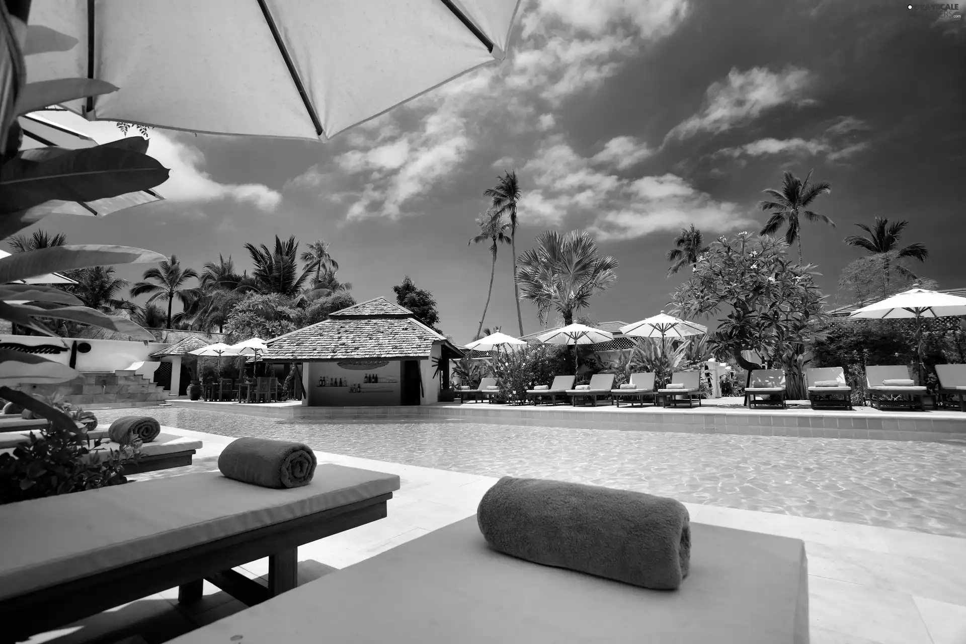 Bar, Pool, holiday, Sunshade, tropic, deck chair