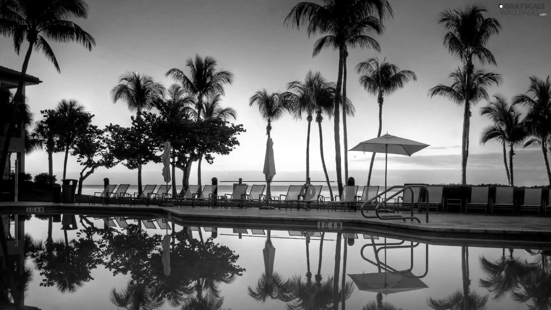 sea, holiday, deck chair, Palms, Pool