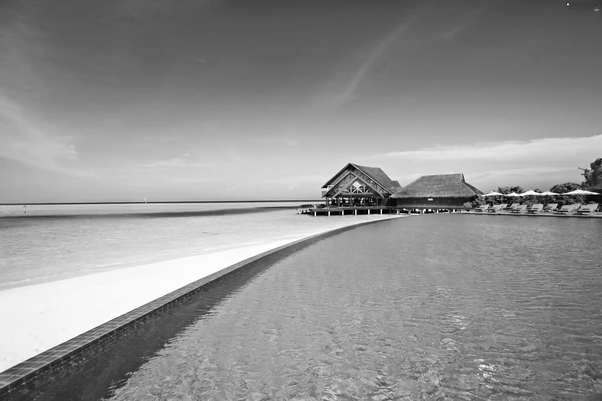 Pool, holiday, Sunshade, deck chair, sea