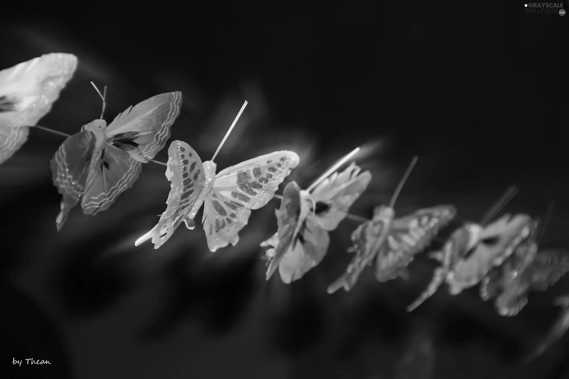 butterfly, thread, decoration, an