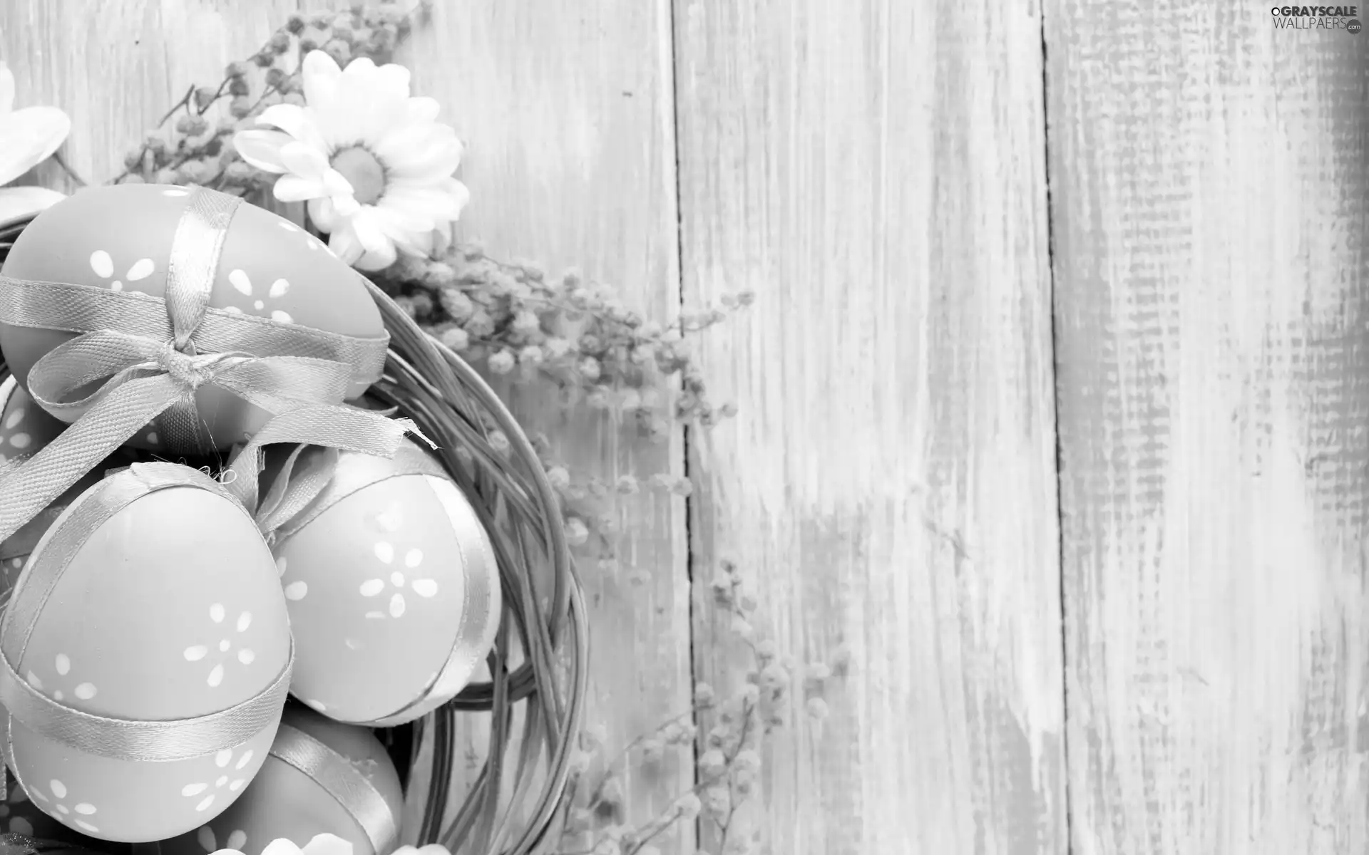 basket, color, eggs