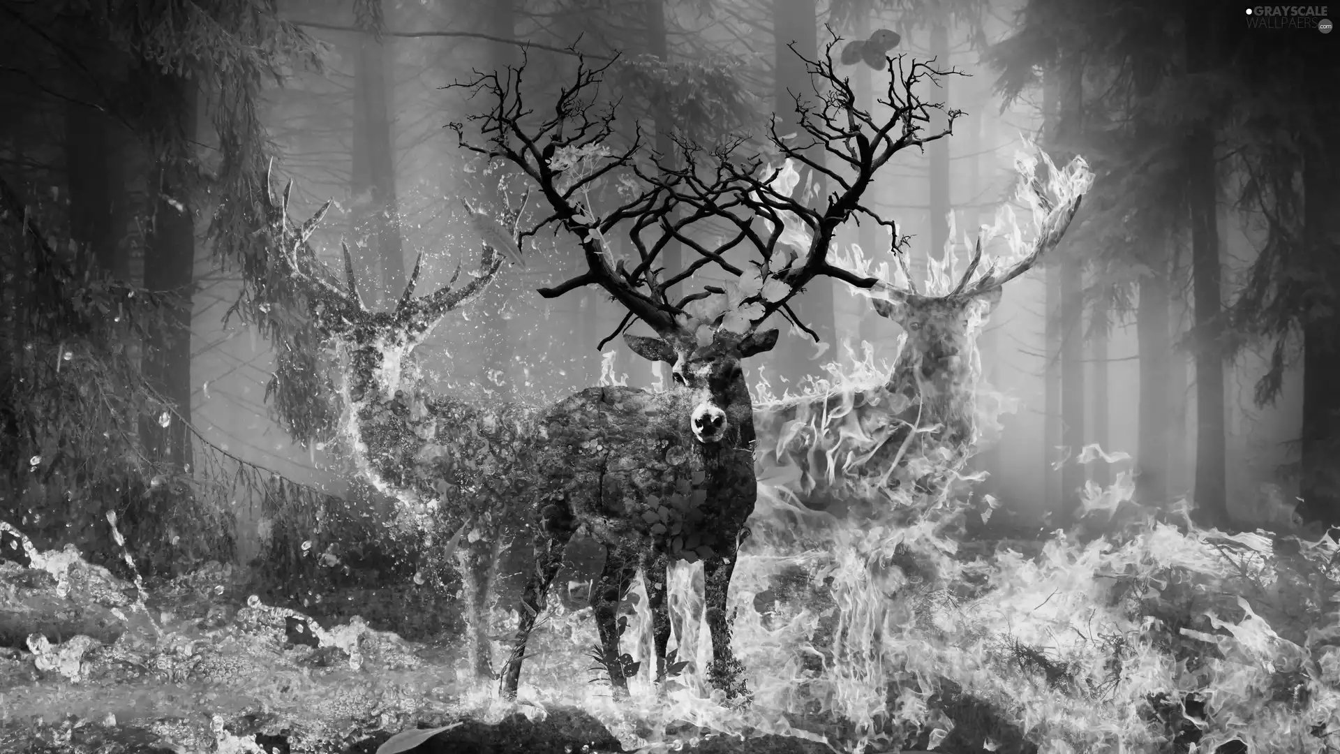 Deer, graphics, water, forest, Big Fire, fantasy