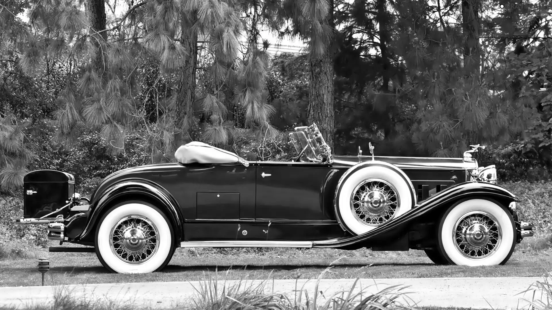 Deluxe, 1931, antique, Packard, Automobile