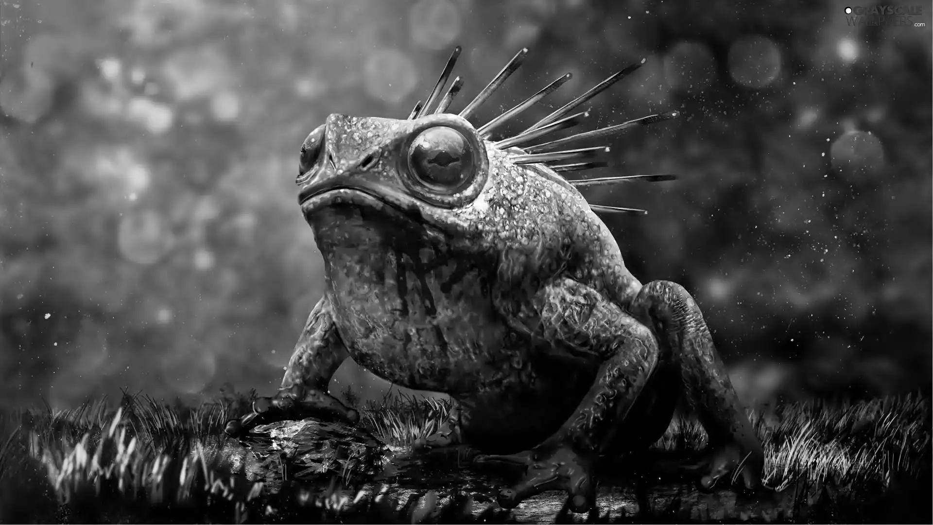 strange frog, The Dark Eye, Demonicon
